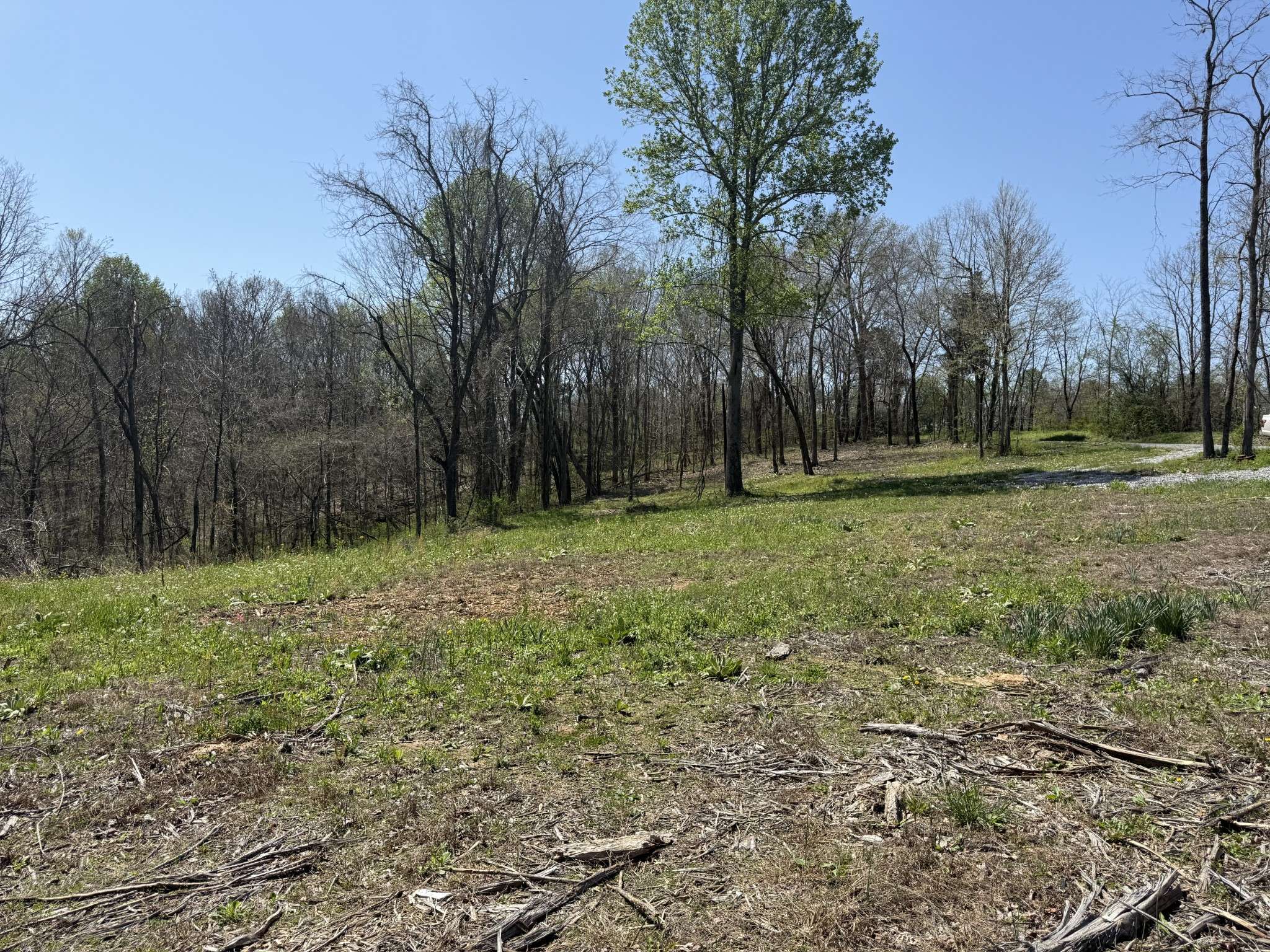Charlotte, TN 37036,0 Highway 49 #E