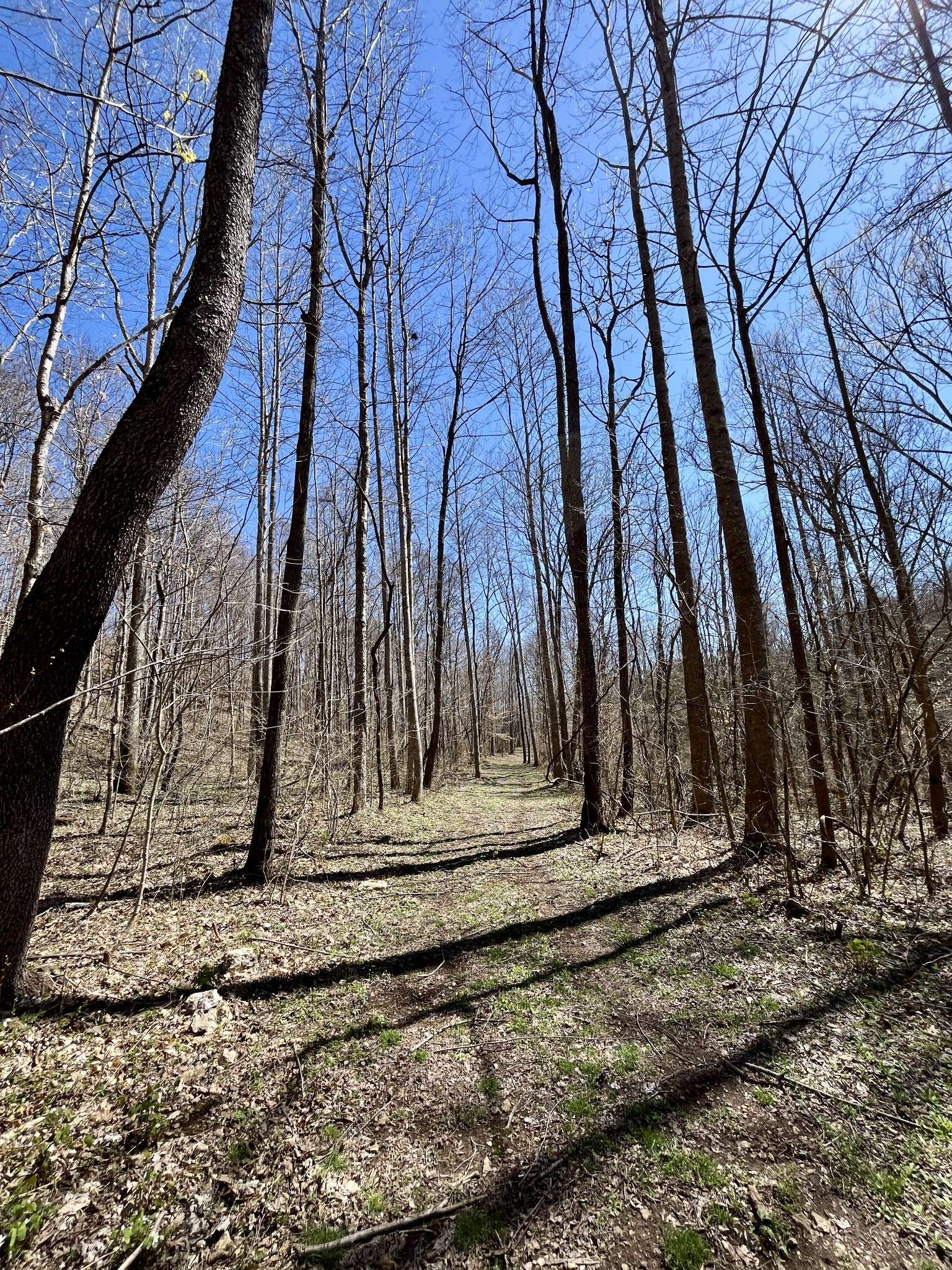 Westmoreland, TN 37186,458 Rock House House Hollow Rd