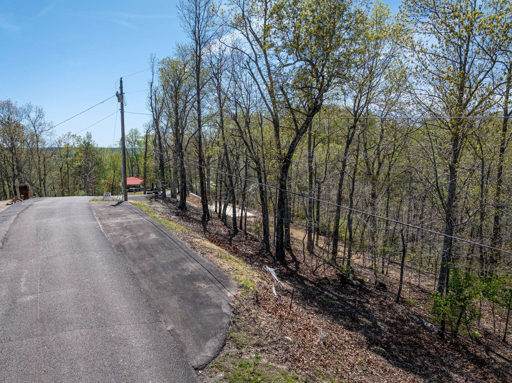Sugar Tree, TN 38380,2819 Ridgeway Dr