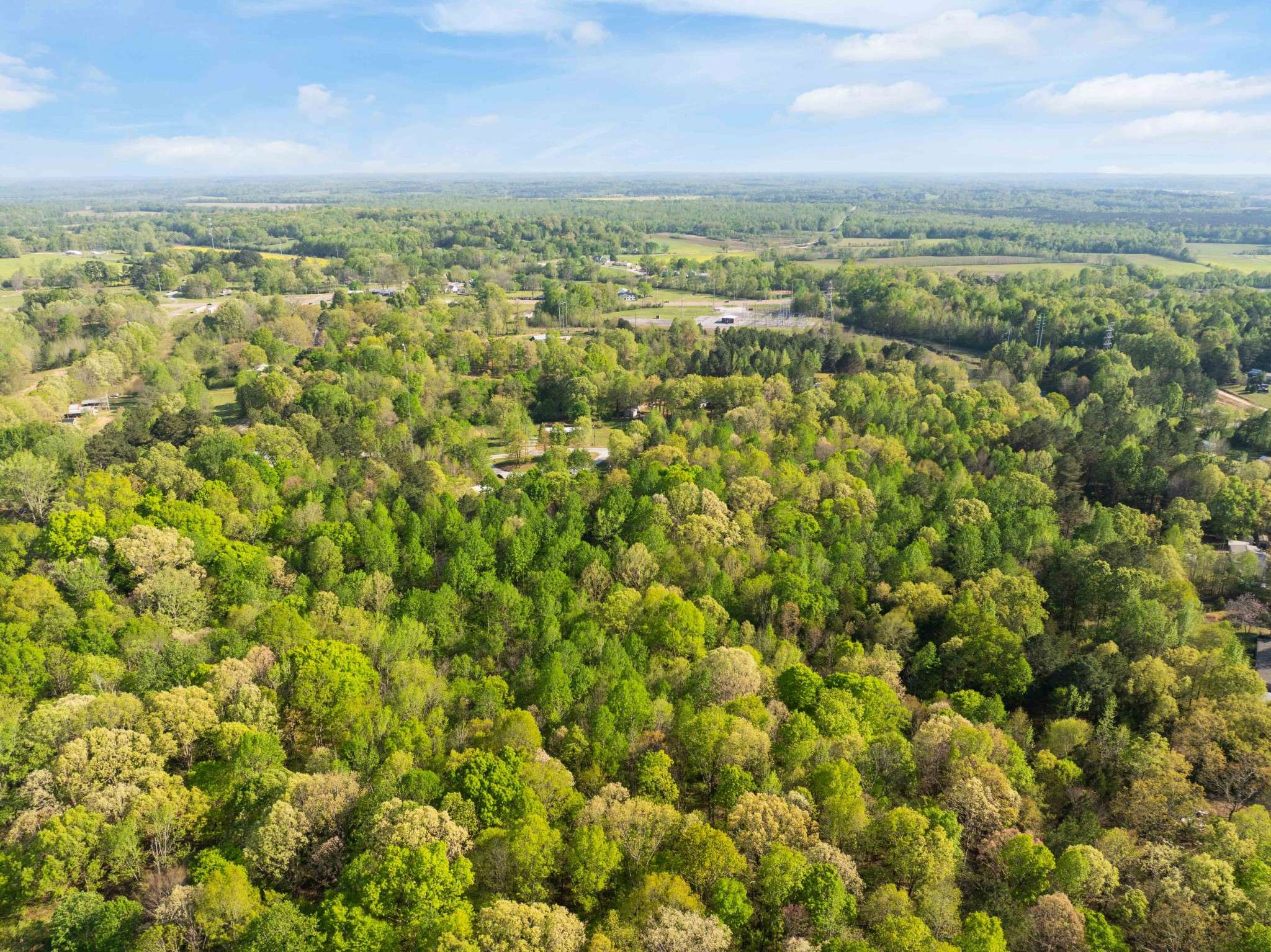 Lexington, TN 38351,86 Praline Pl