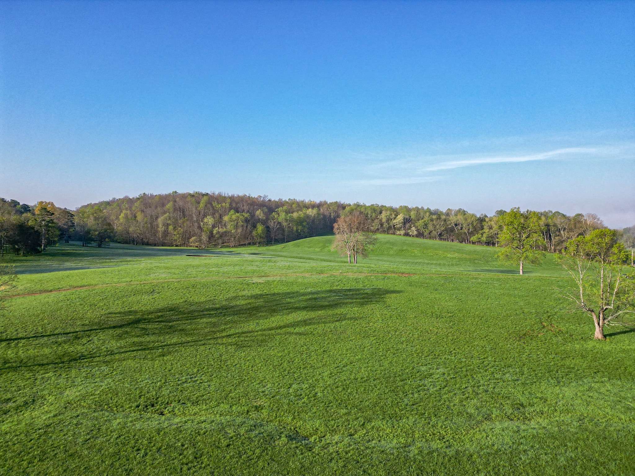 Nunnelly, TN 37137,0 Pinewood Rd