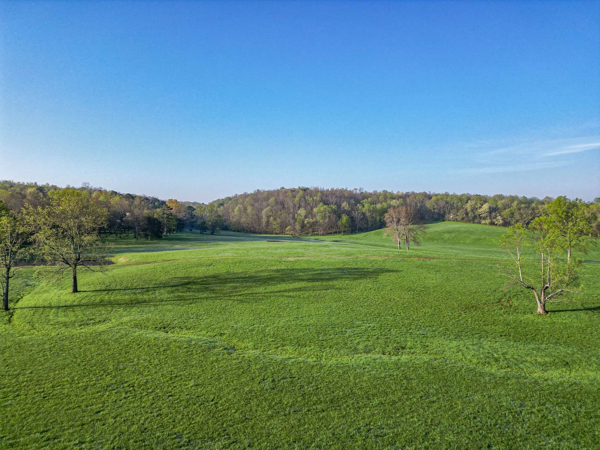 Nunnelly, TN 37137,0 Pinewood Rd