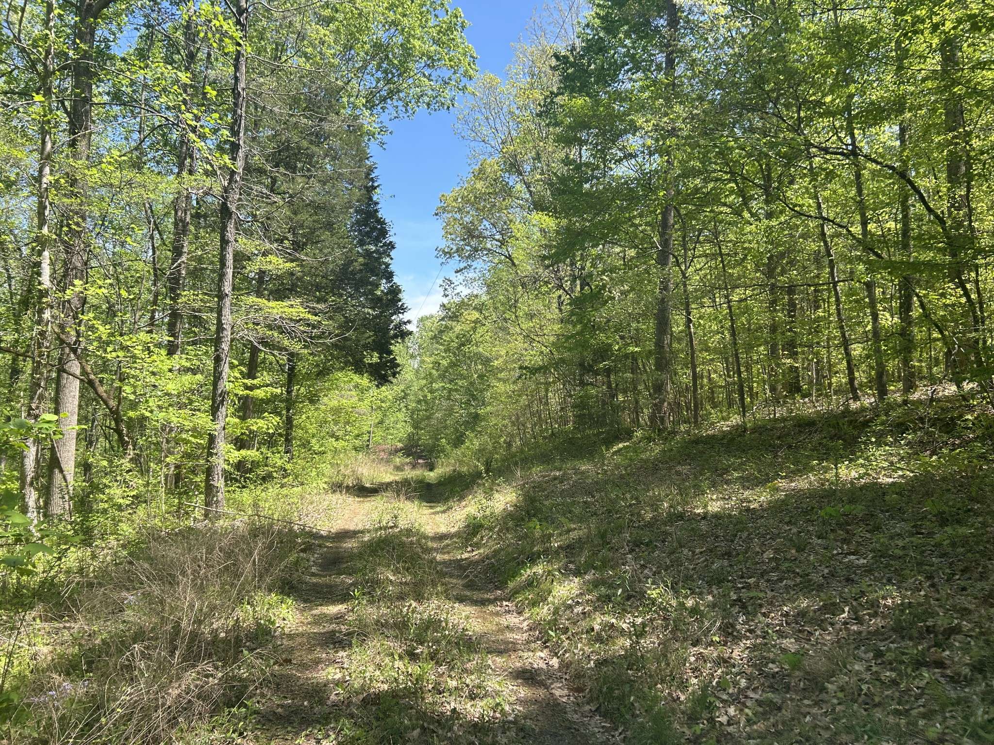 White Bluff, TN 37187,1062 Joslin Branch Rd