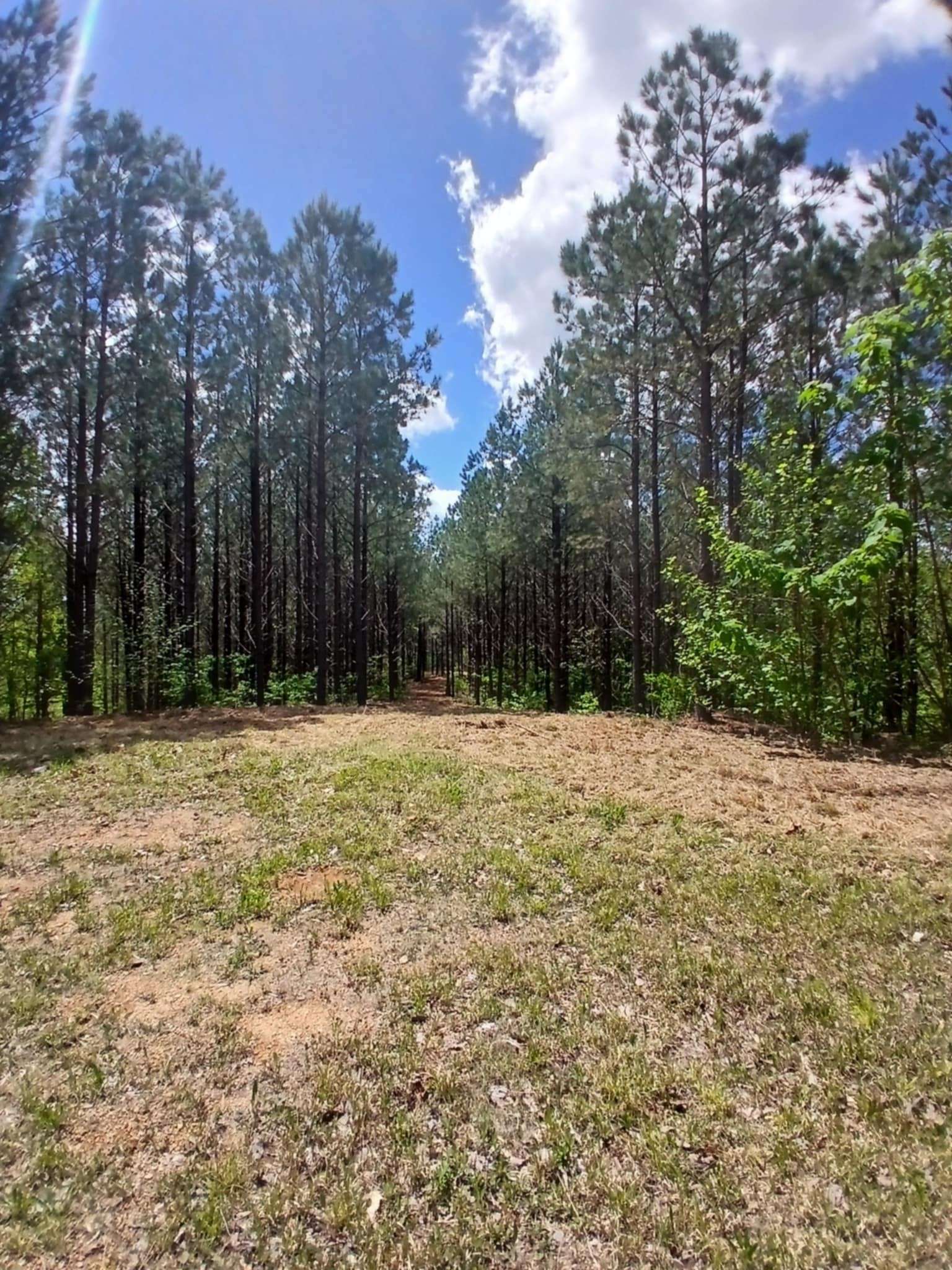 Linden, TN 37096,230 Juniper Dr