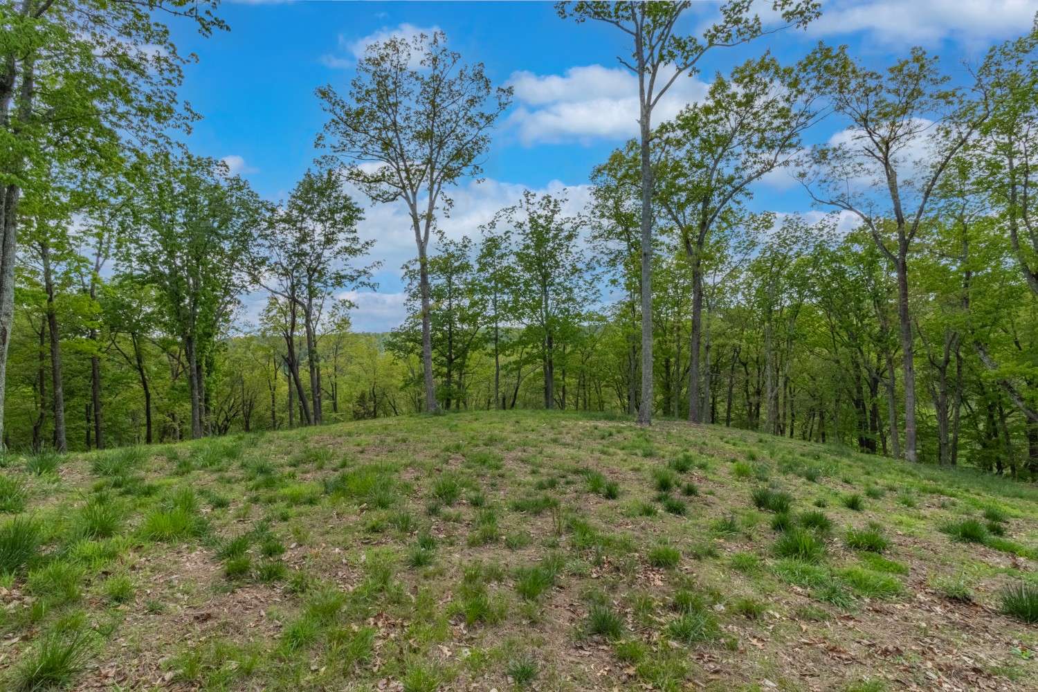 Hampshire, TN 38461,0 Love Branch Rd