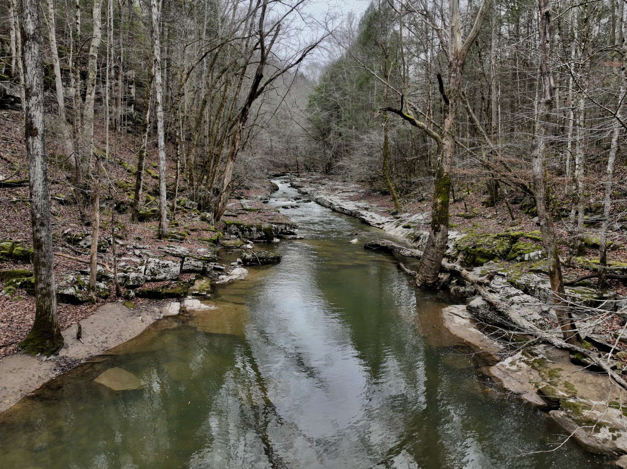 Monterey, TN 38574,0 Coal Lane
