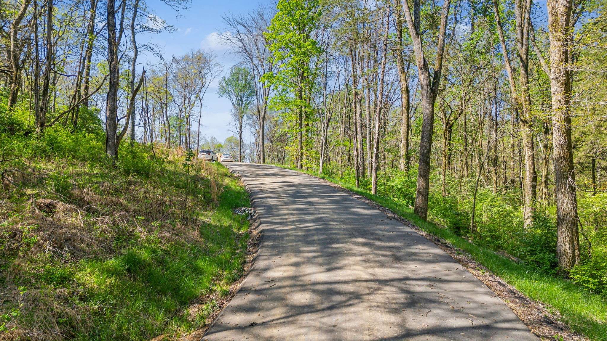 Nashville, TN 37221,8377 Collins Rd
