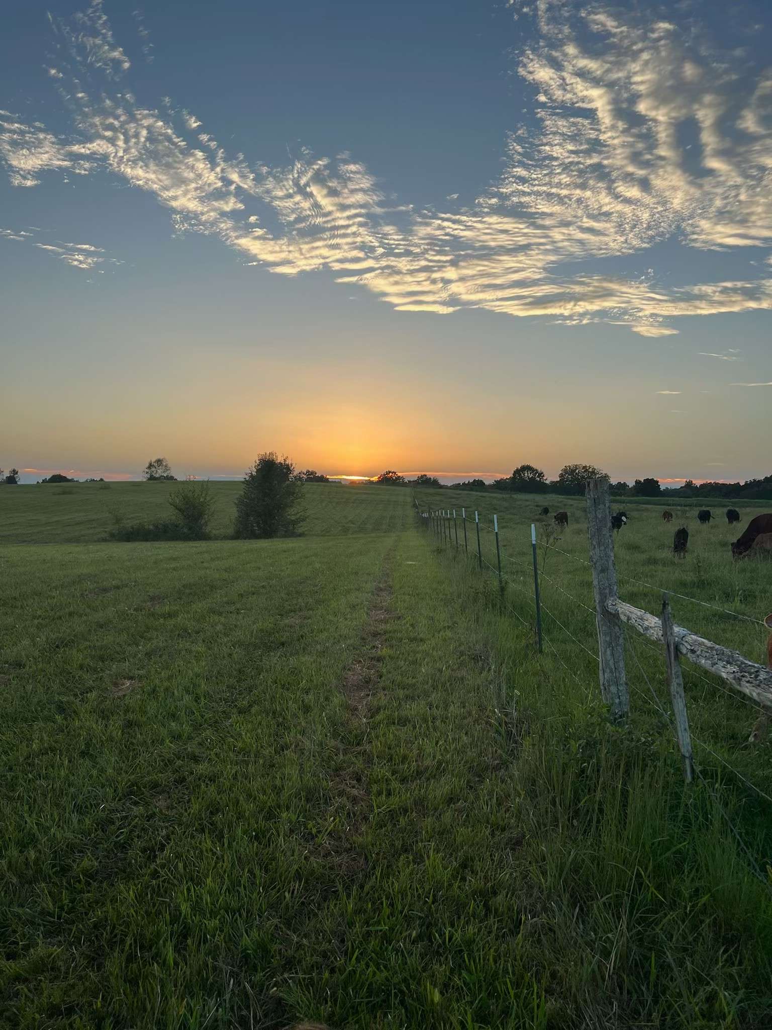 Spring Hill, TN 37174,4811 Ash Hill Road