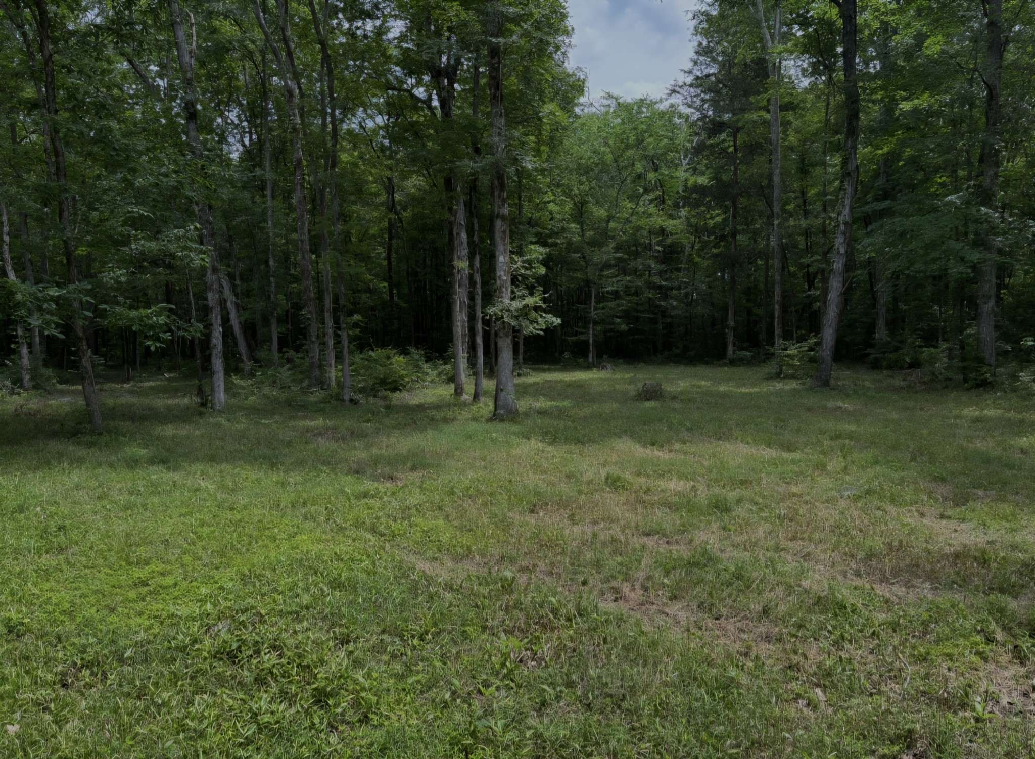 Lewisburg, TN 37091,2971 Ownby Rd
