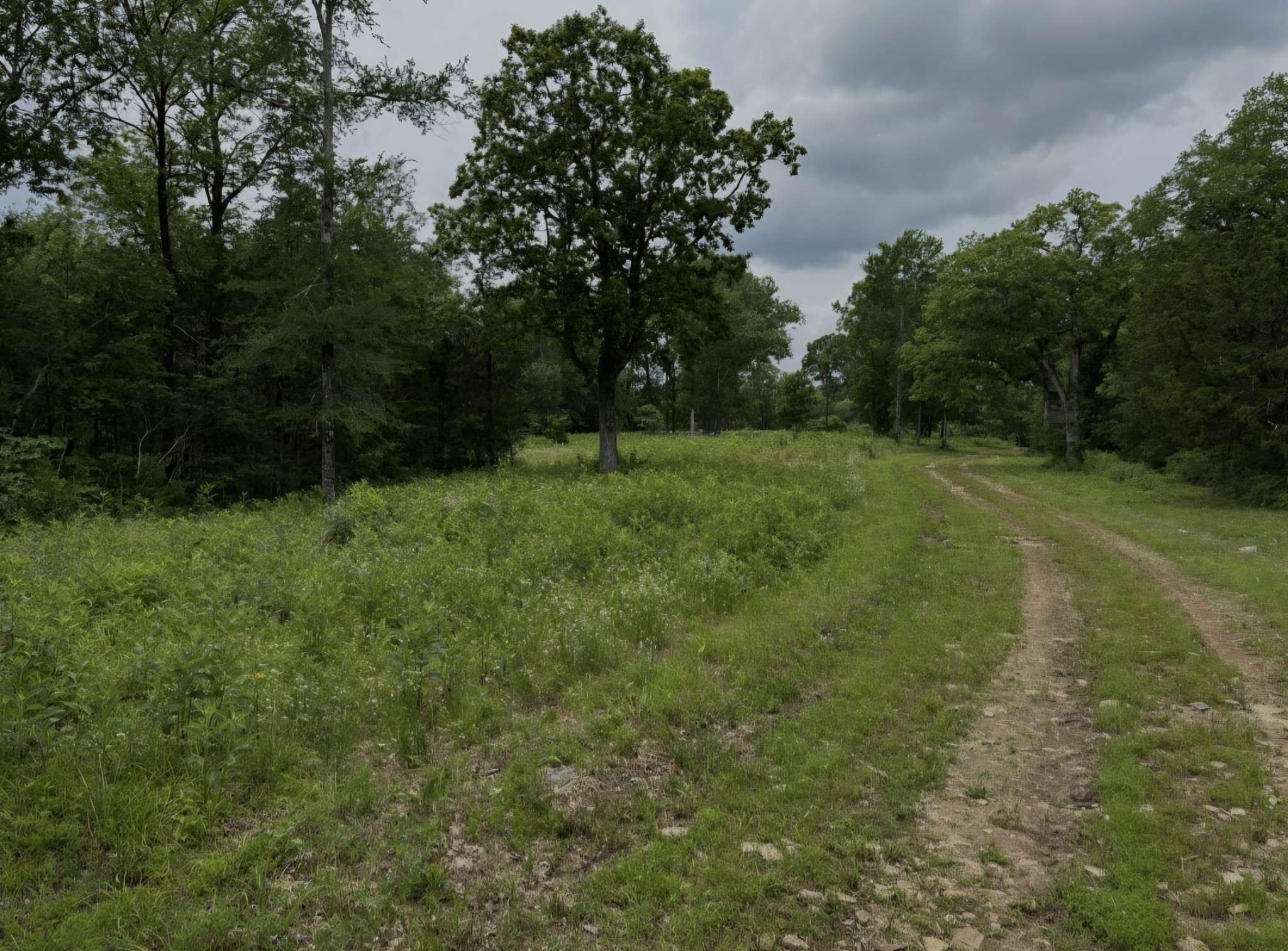 Lewisburg, TN 37091,2971 Ownby Rd
