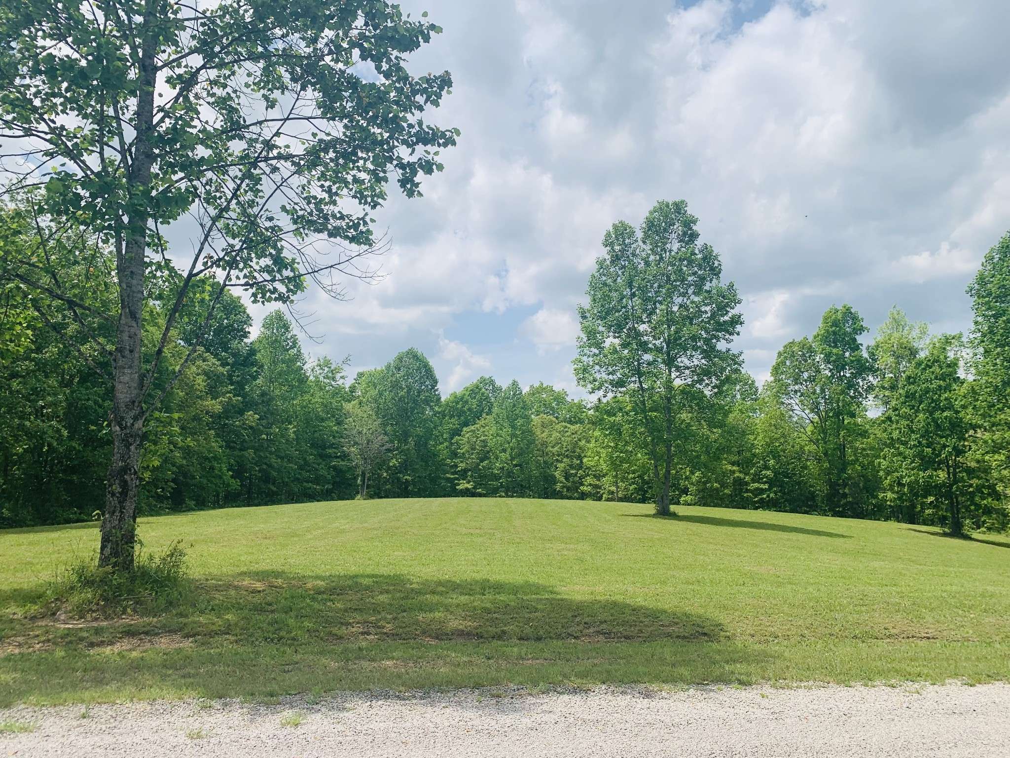Hohenwald, TN 38462,131 Heritage Hills Lane
