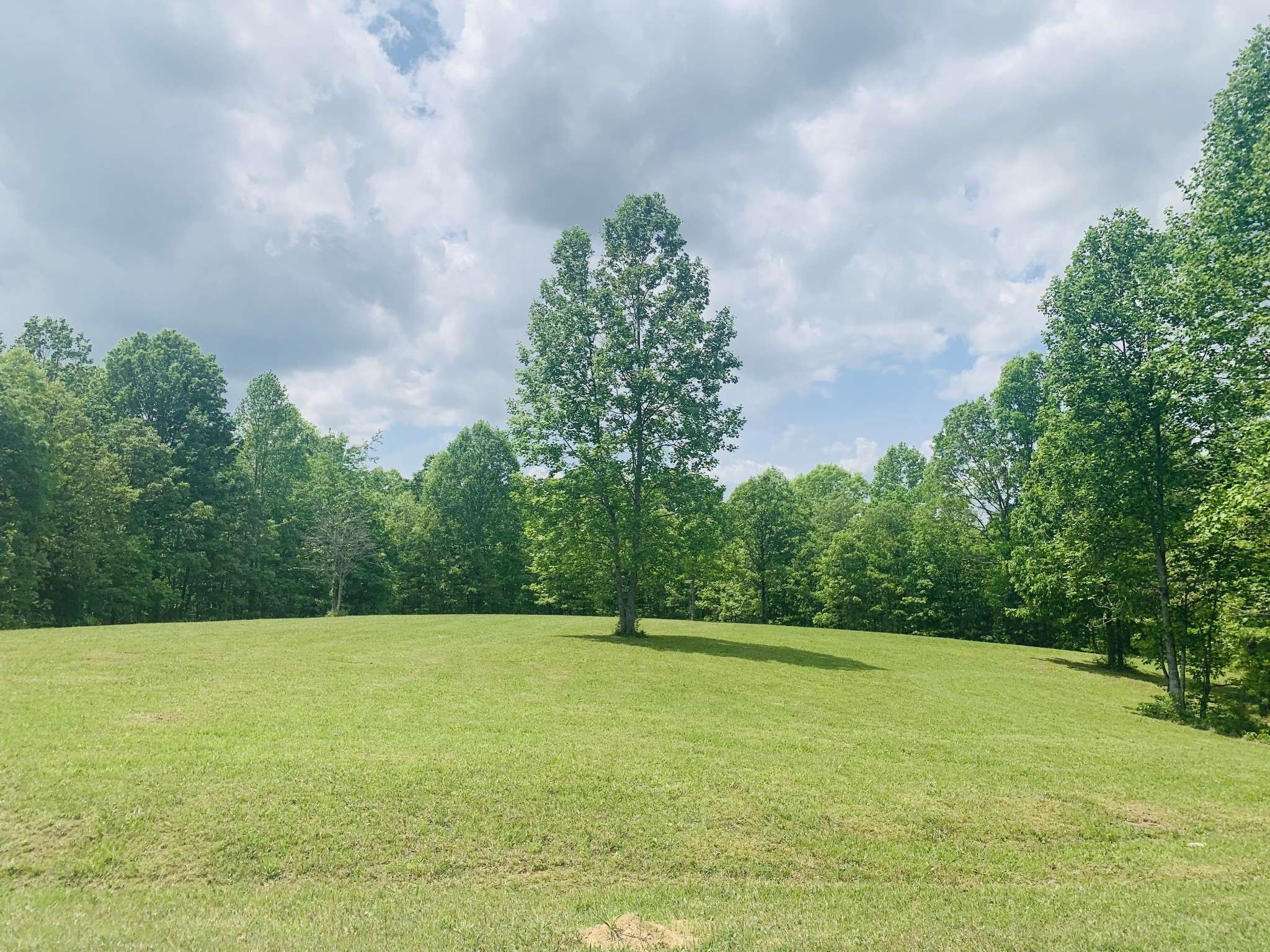 Hohenwald, TN 38462,131 Heritage Hills Lane