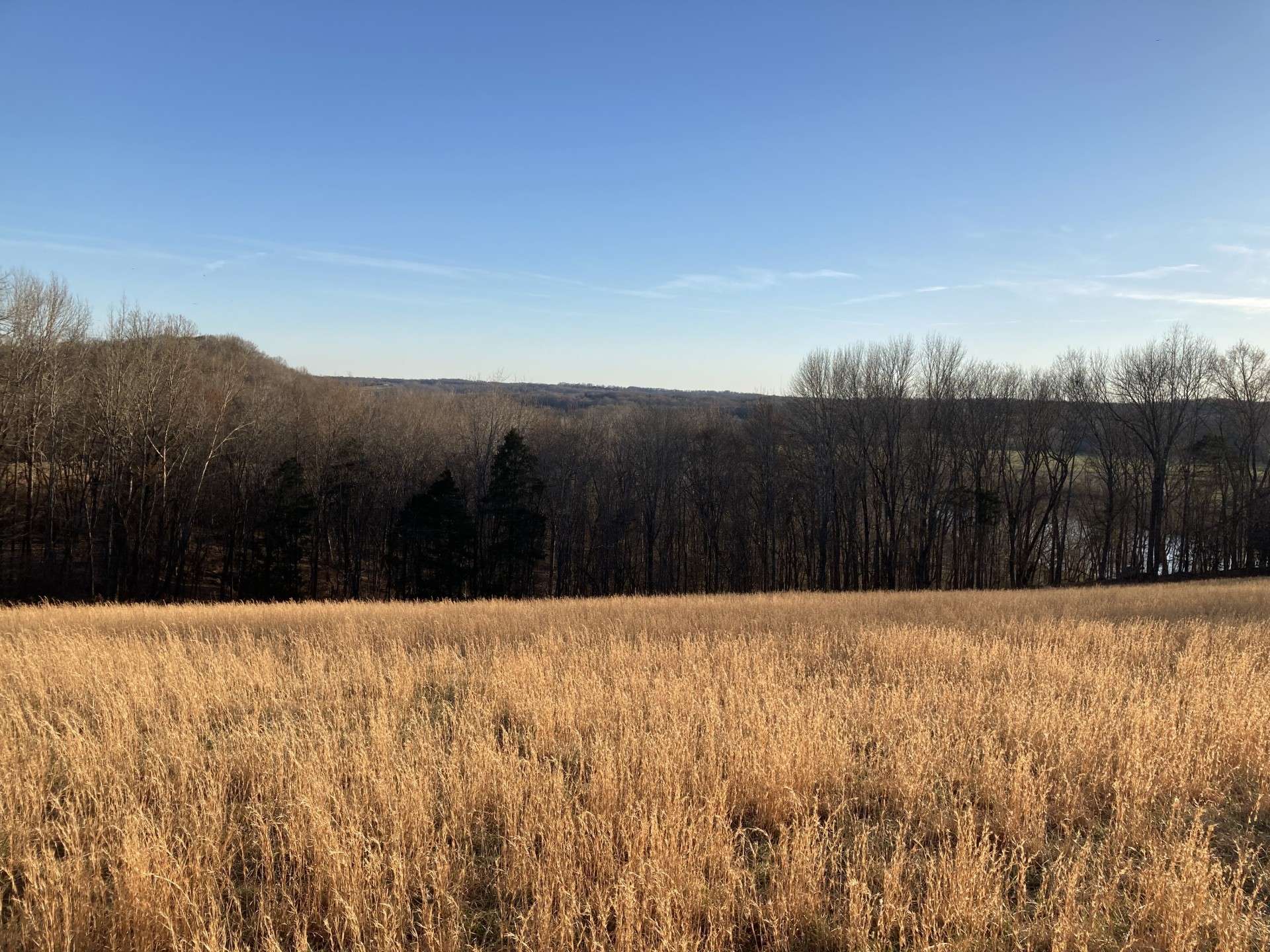 Clarksville, TN 37043,3150 Matlock Rd