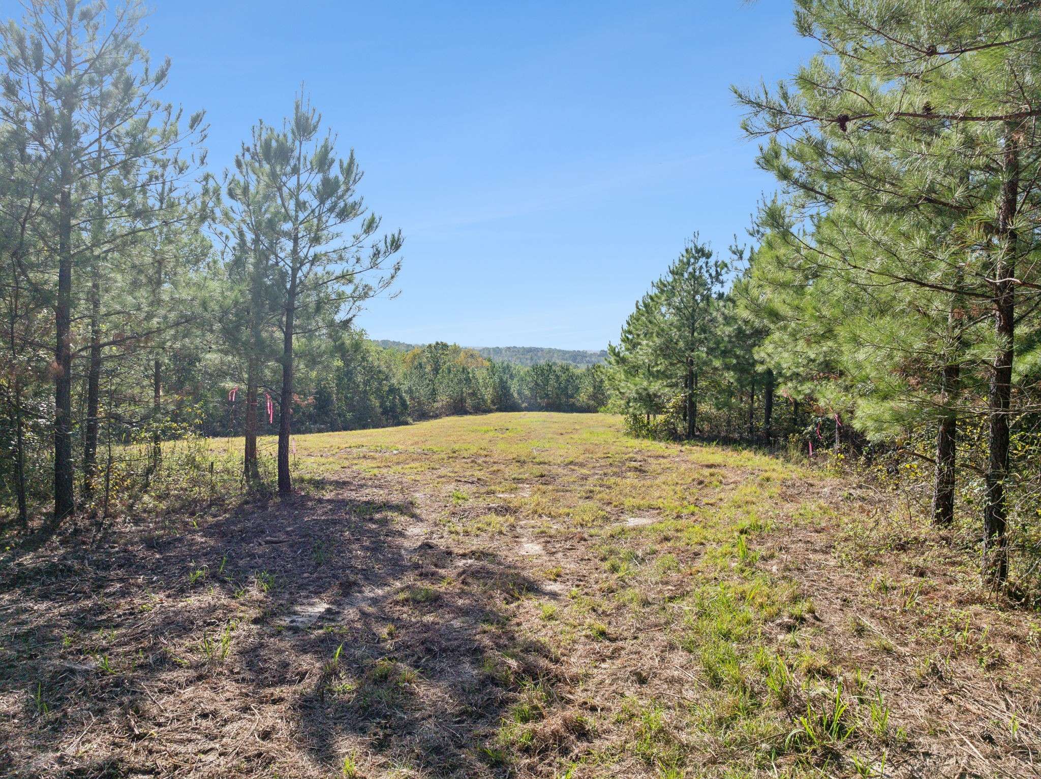 Dover, TN 37058,0 Cox Hollow Rd