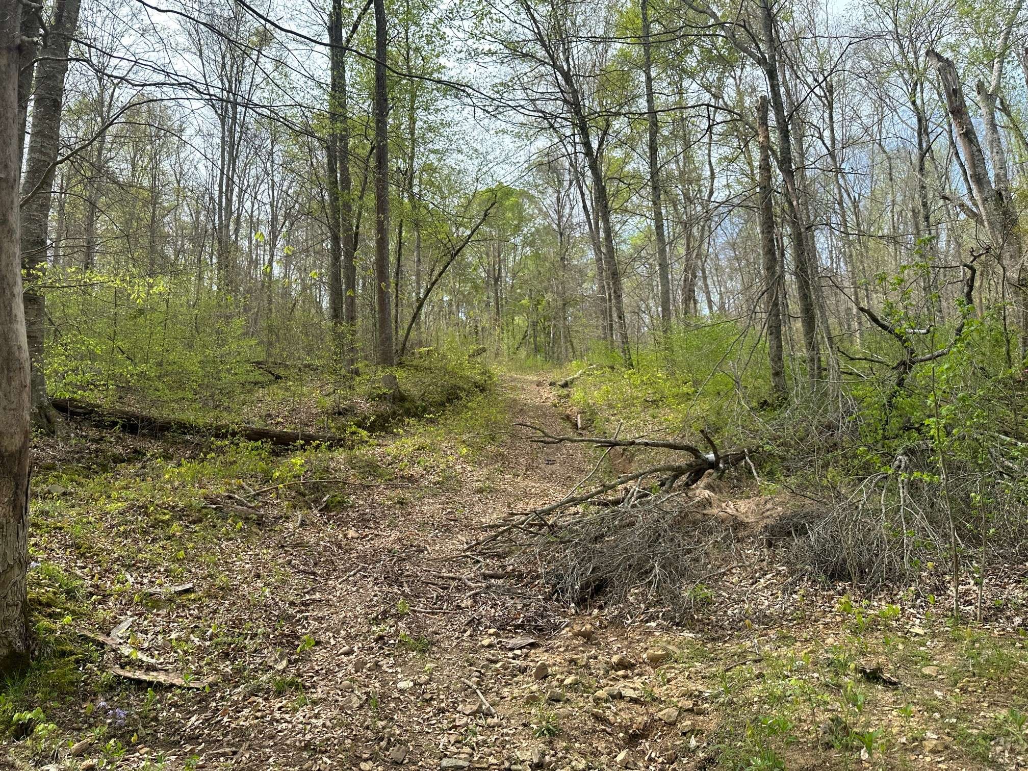 Dickson, TN 37055,2 Cave Branch
