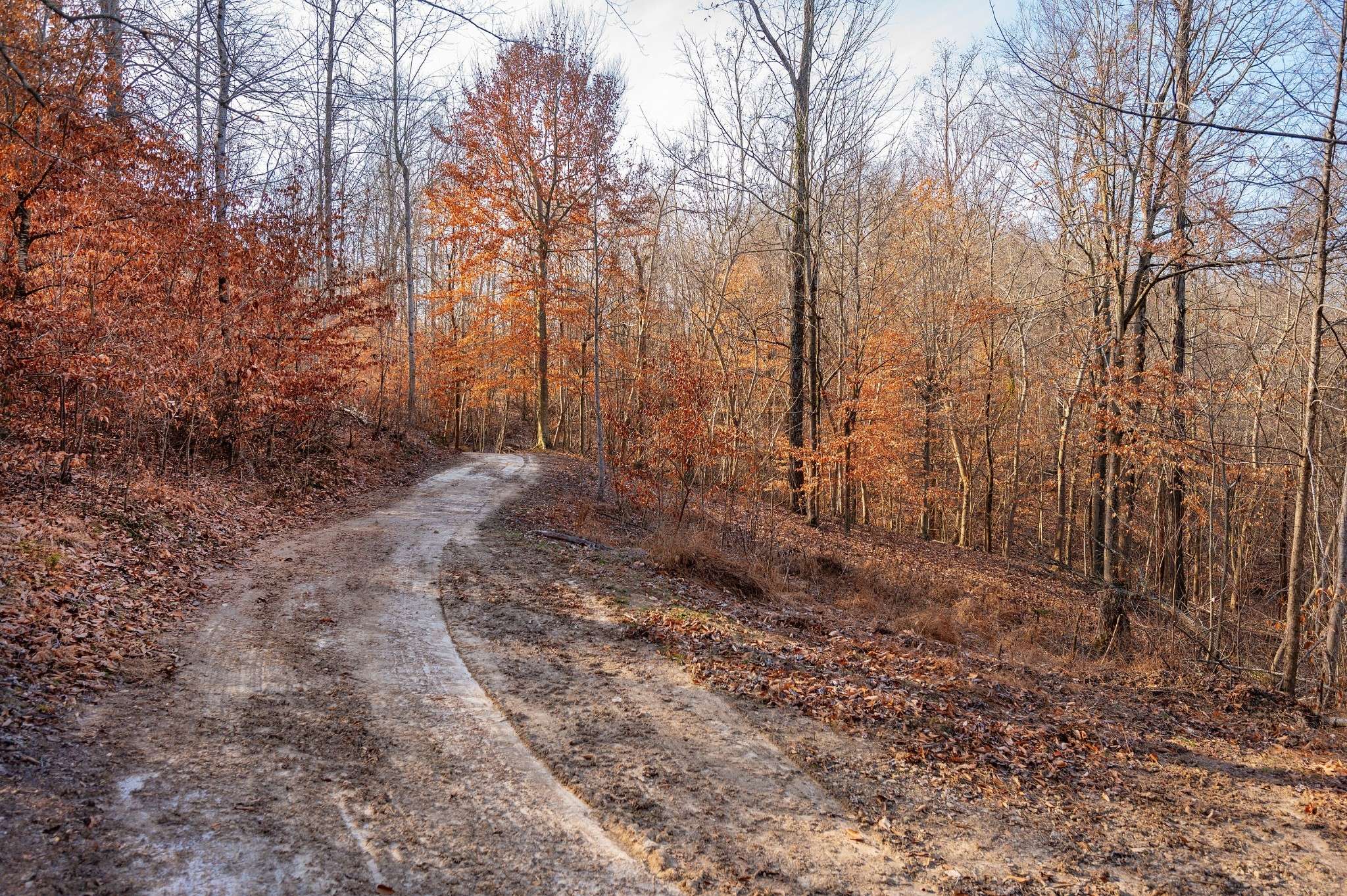 Goodlettsville, TN 37072,1071 Louisville Hwy