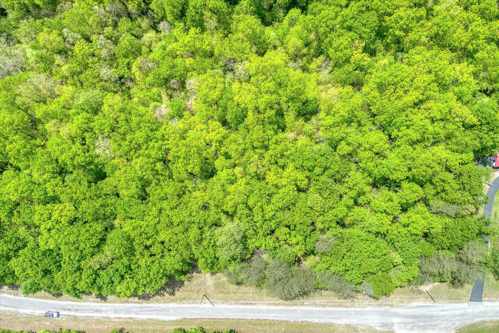 Monterey, TN 38574,0 Bent Tree Road