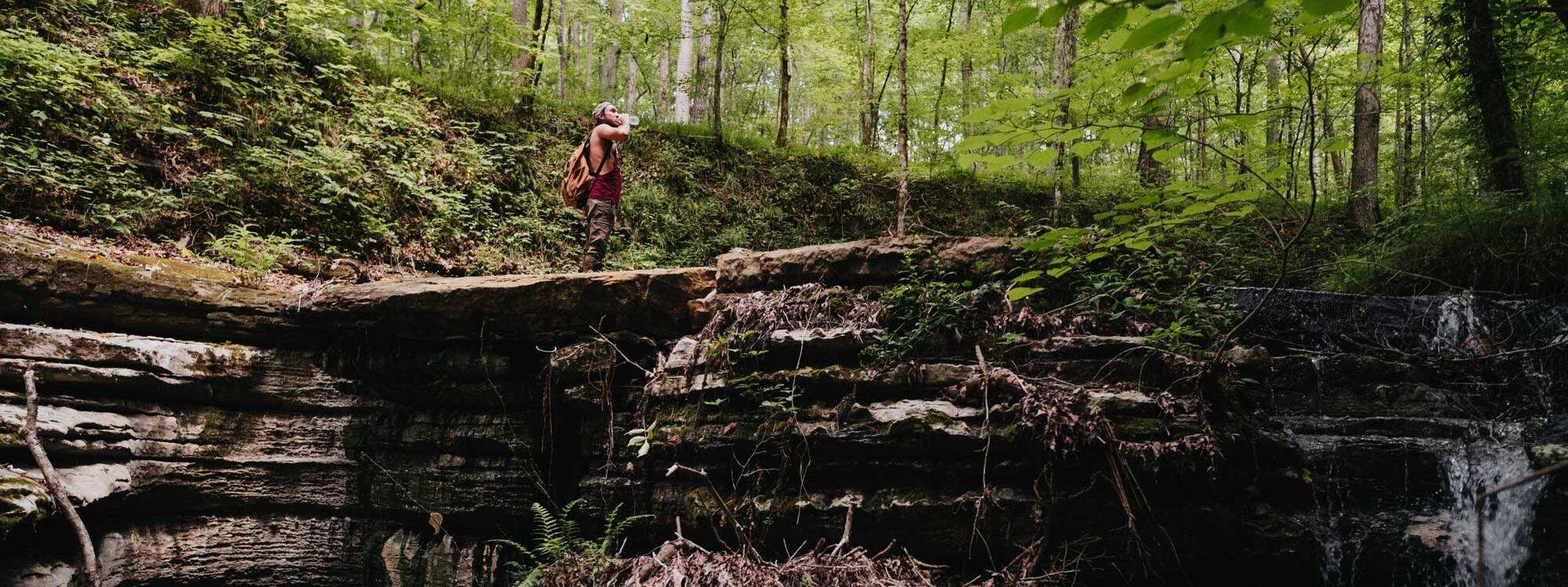 Olivehill, TN 38475,3105 Coy Hill Rd