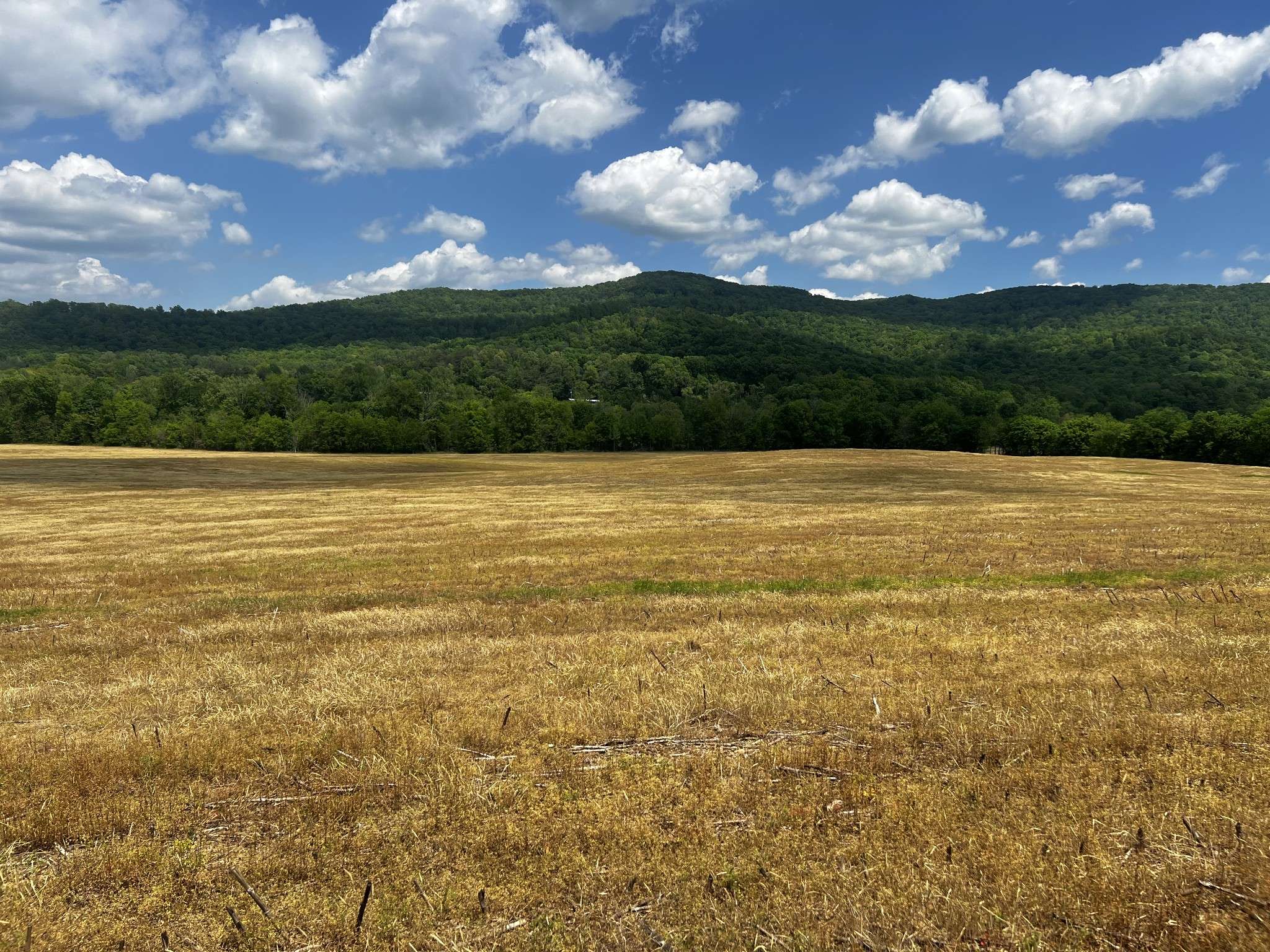Spencer, TN 38585,0 Hwy 285