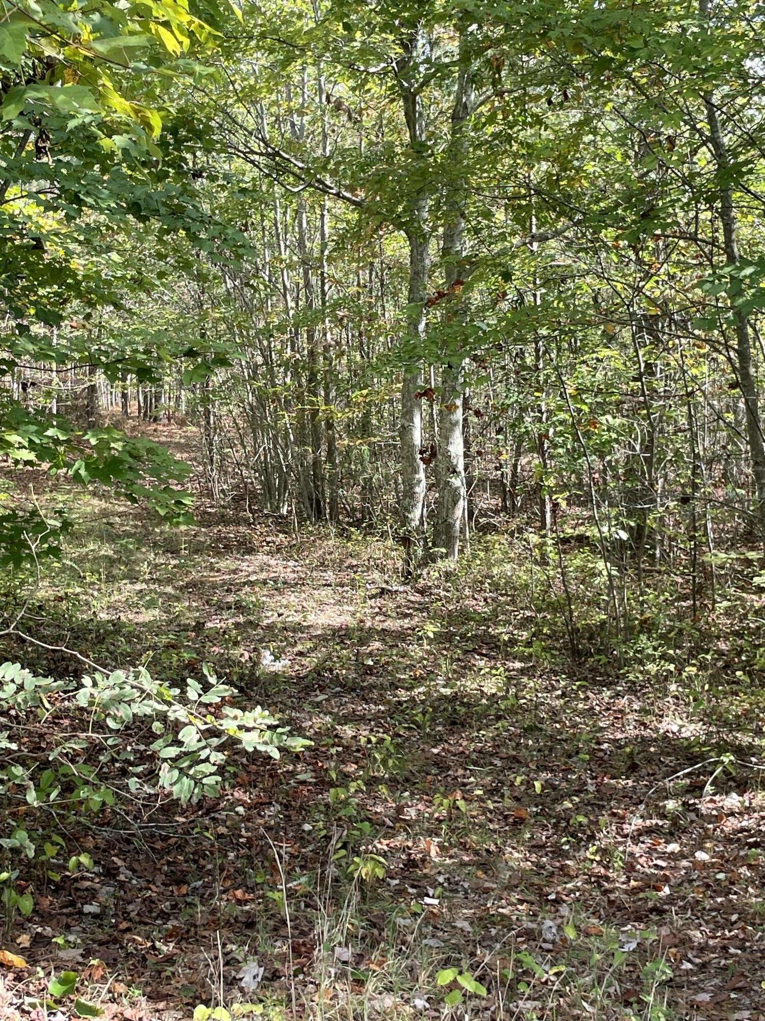 Jasper, TN 37347,3685 Crockett Point