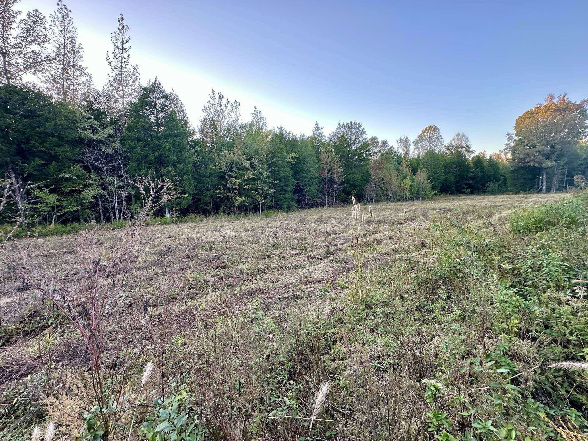 Holladay, TN 38341,1212 Coxburg Rd N