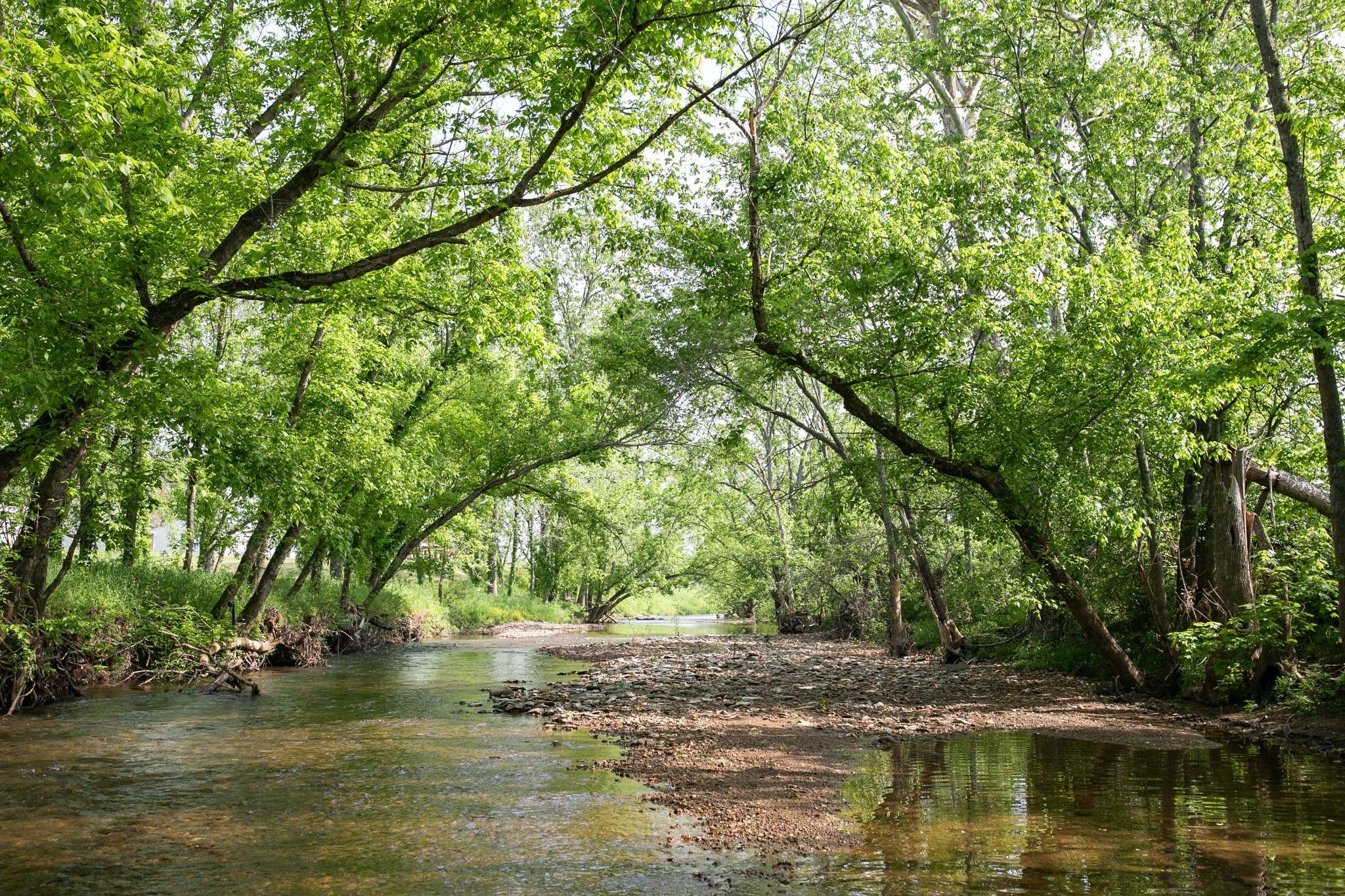 Williamsport, TN 38487,4824 Leipers Creek Road