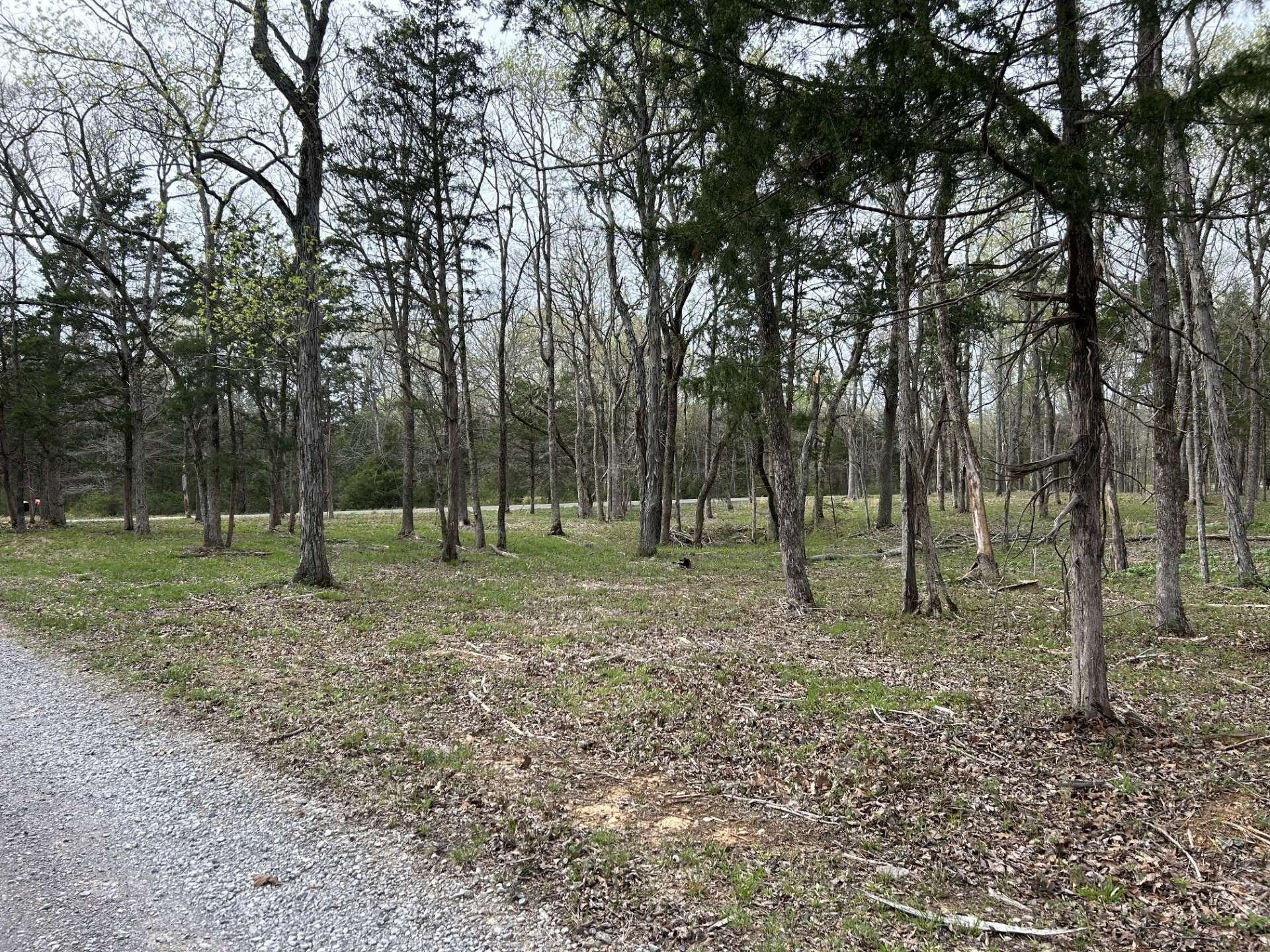 Christiana, TN 37037,0 Millersburg Rd