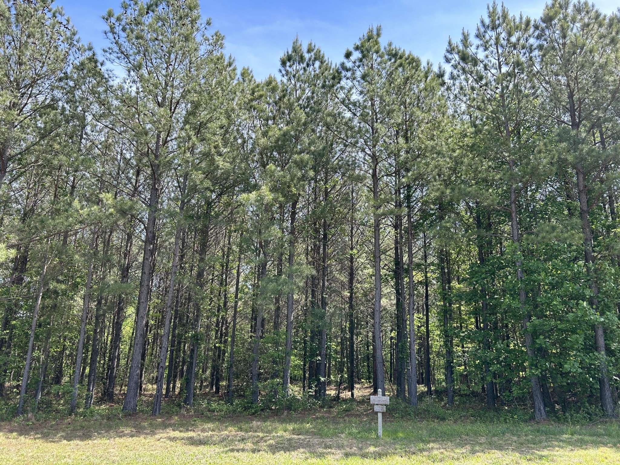 Jasper, TN 37347,290 Bear Trace Drive