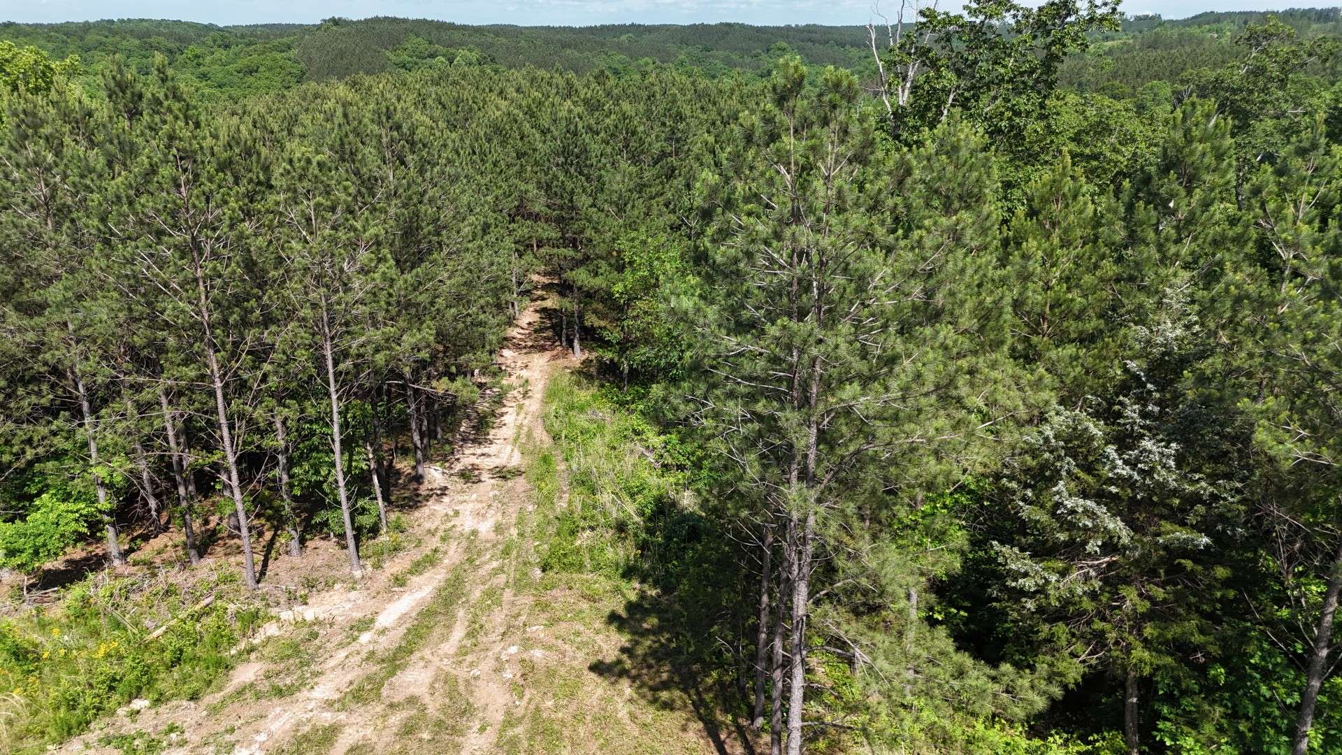 Linden, TN 37096,3149 McGee Rd