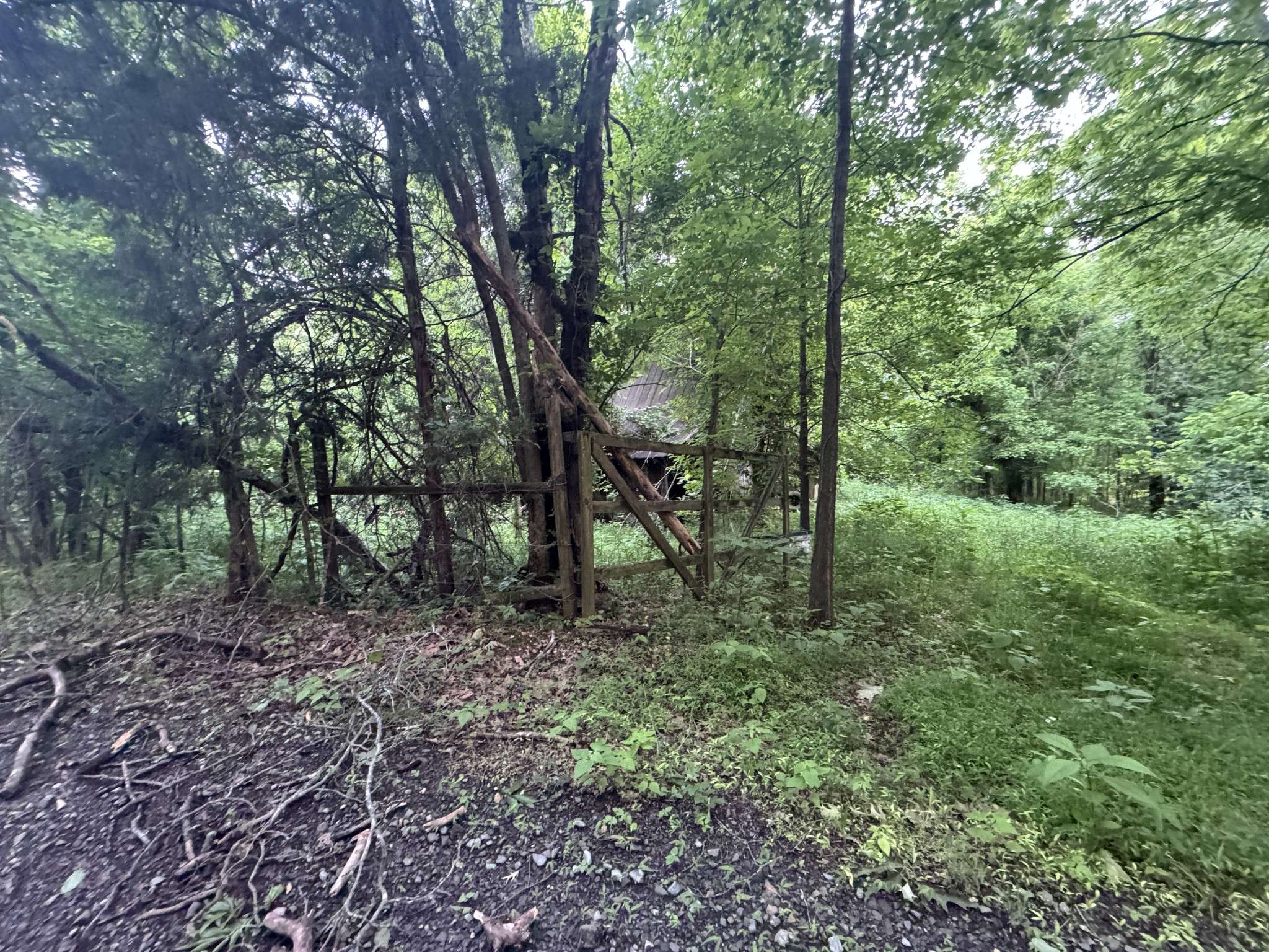 Indian Mound, TN 37079,0 Walker Rd
