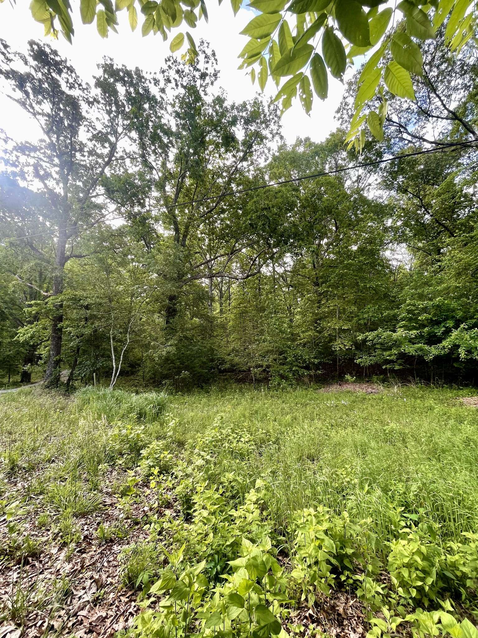 Sewanee, TN 37375,0 Jumpoff Mountain Road