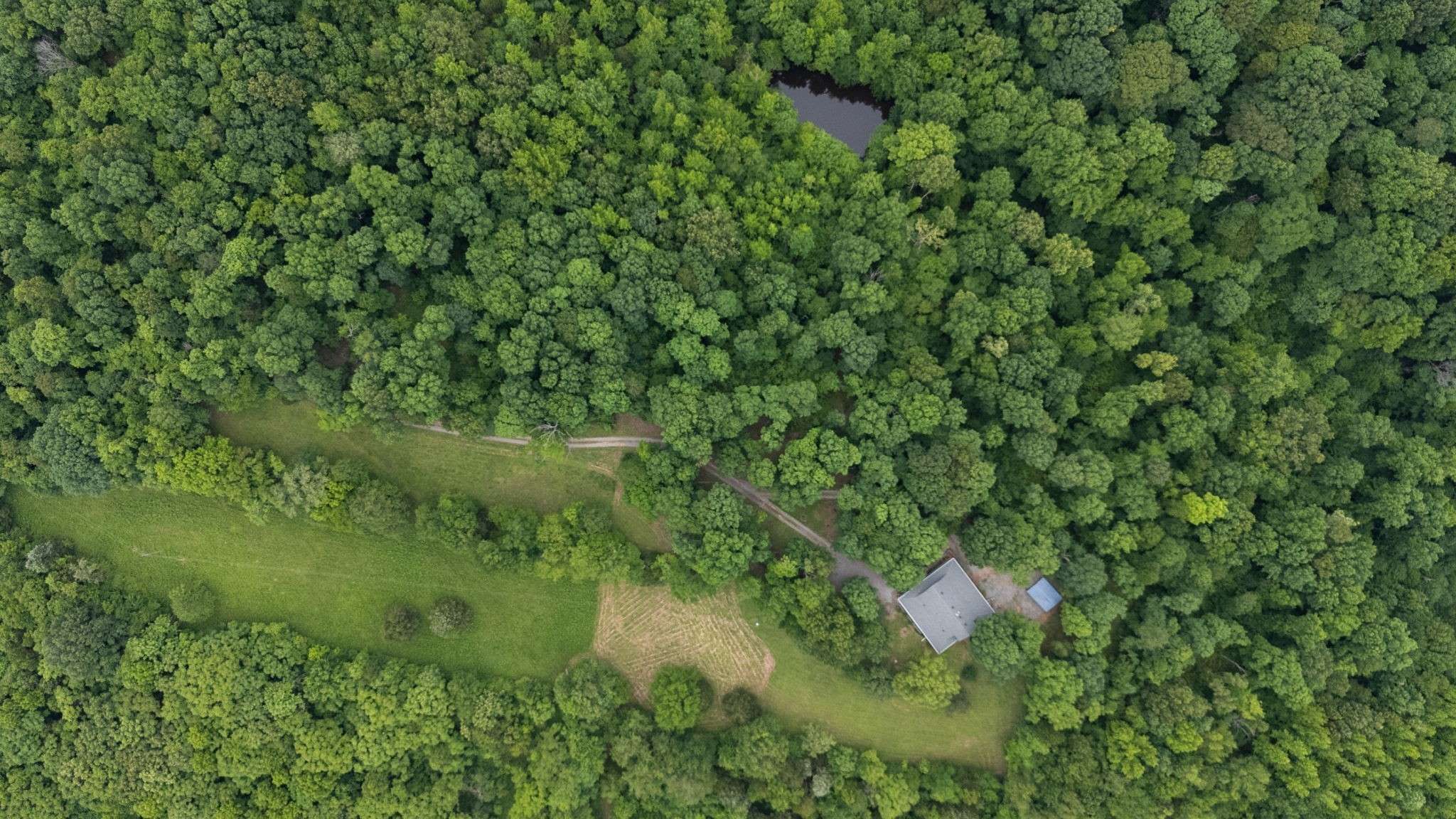 Palmyra, TN 37142,3250 Luther Ragan Rd