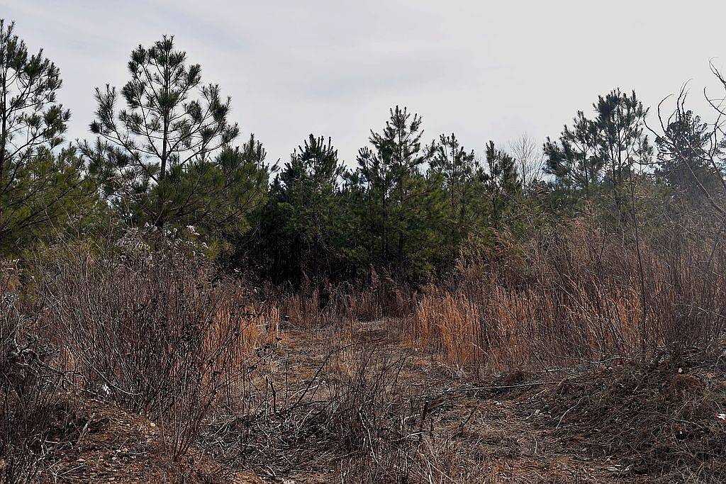 Linden, TN 37096,1661 Sassafras Stand Ridge