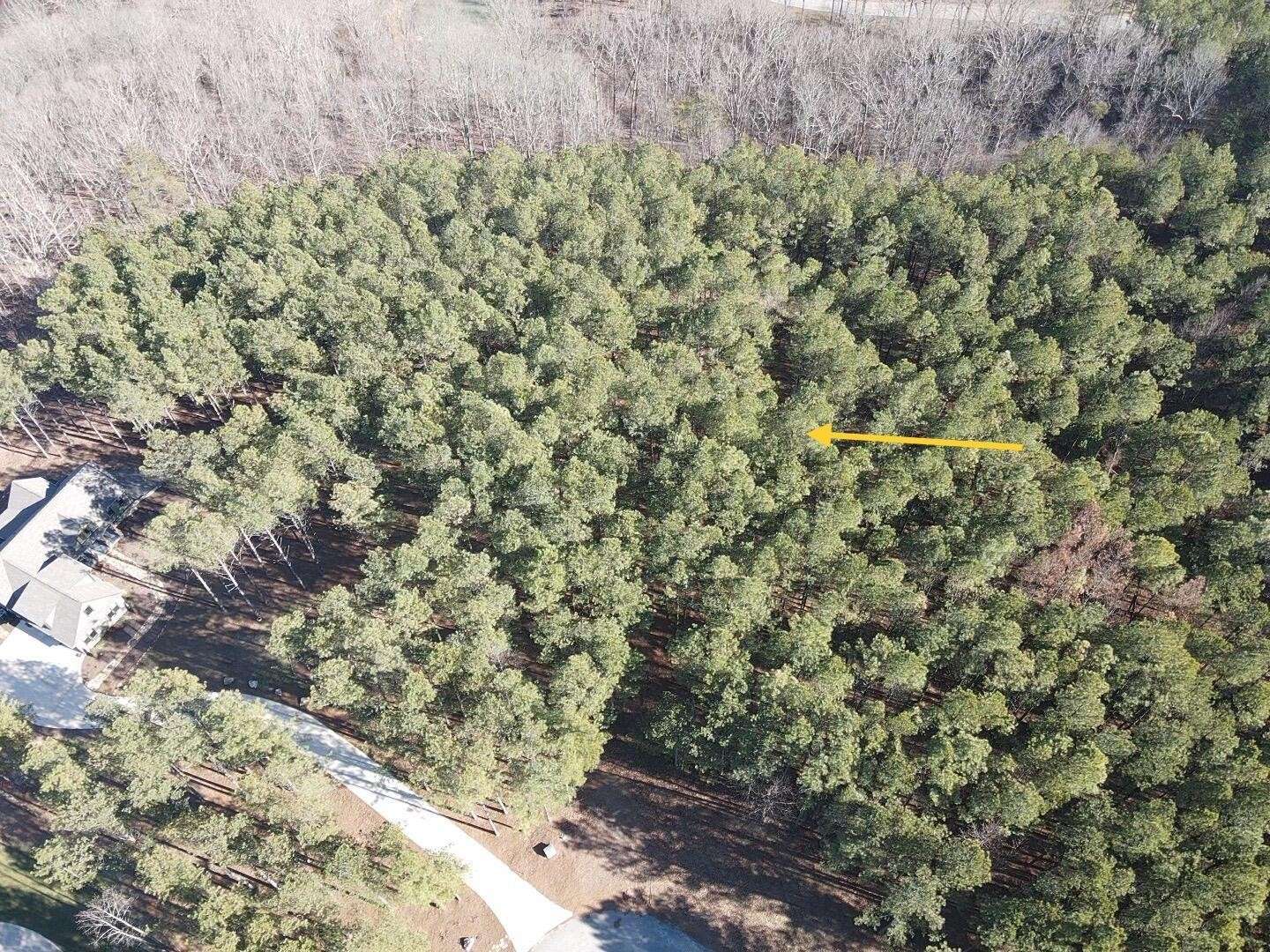 Jasper, TN 37347,80 High Point Lane
