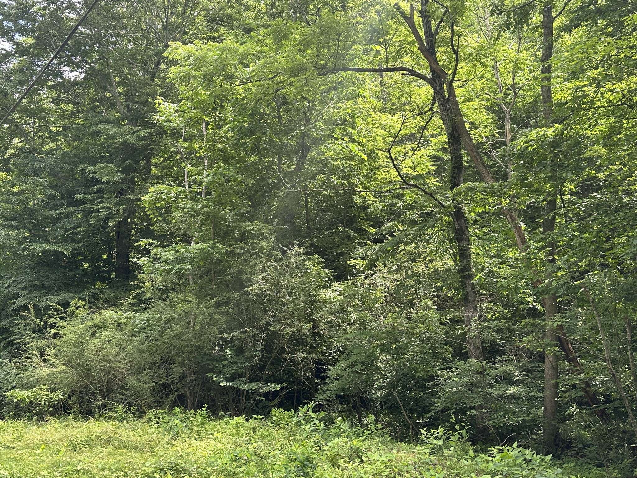 Joelton, TN 37080,2812 Union Hill Rd