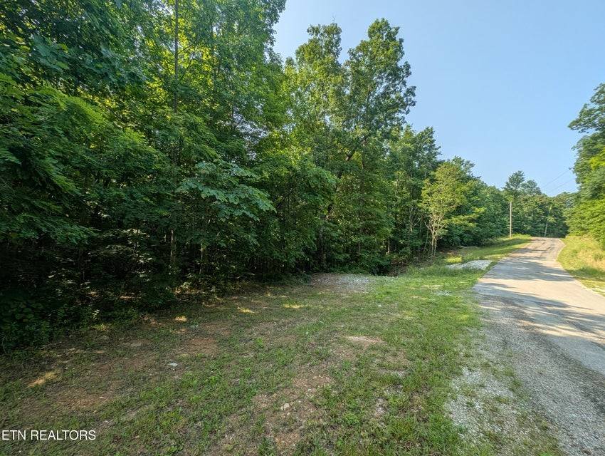 Jamestown, TN 38556,0 Cheyenne Dr #SW