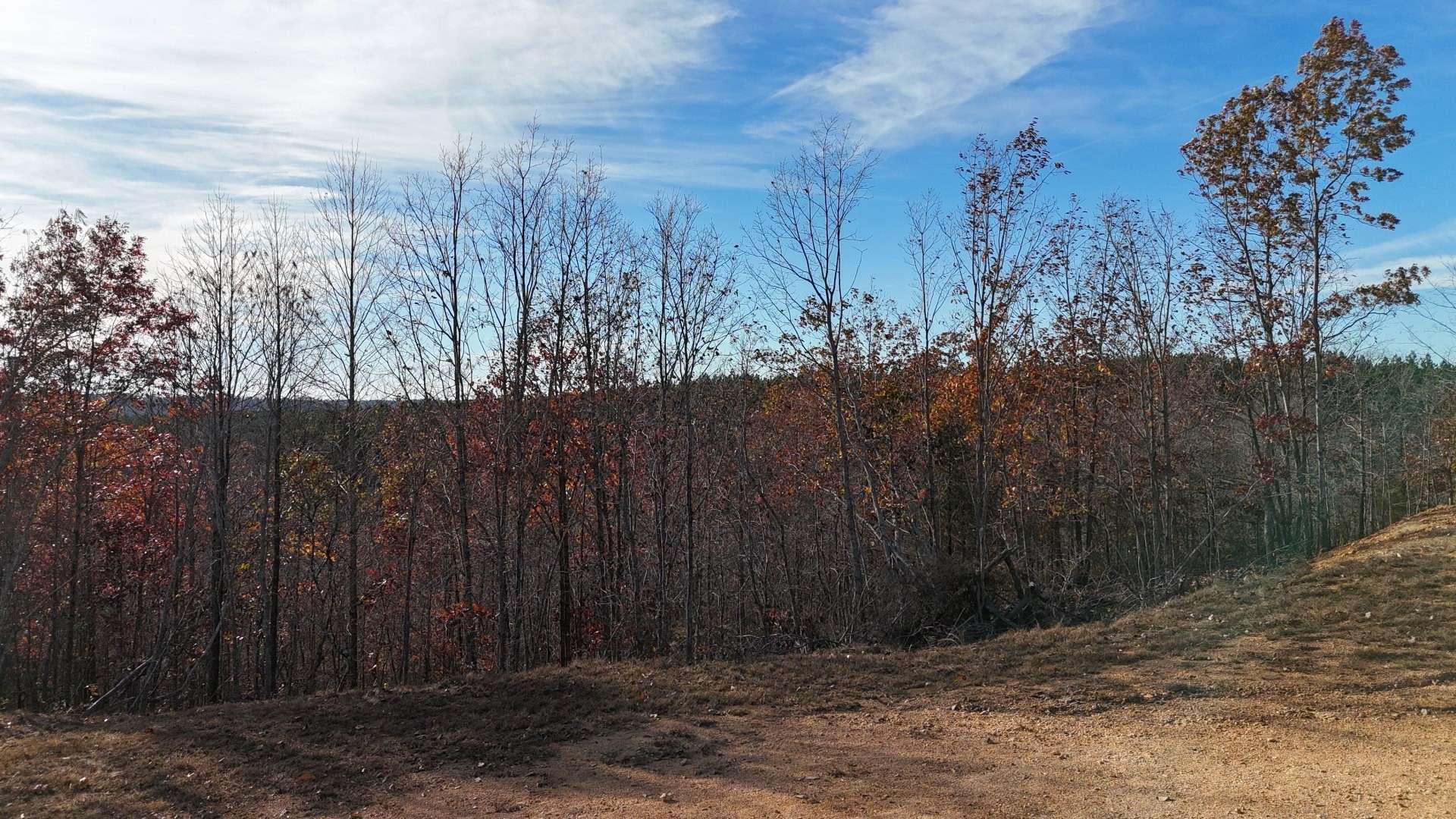 Linden, TN 37096,452 Streamside Dr