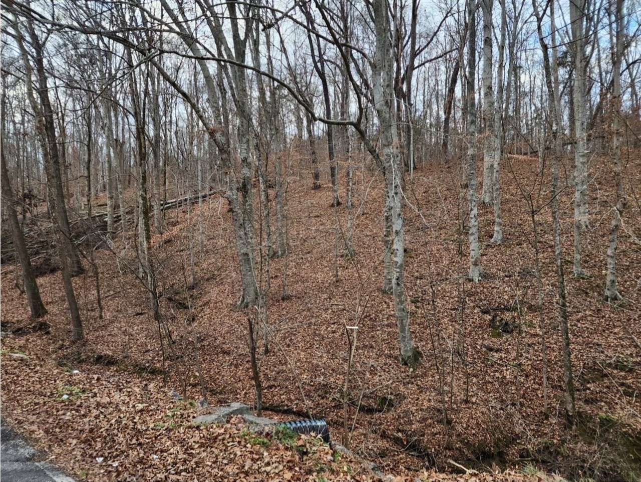 Westmoreland, TN 37186,0 Garretts Creek Rd #W