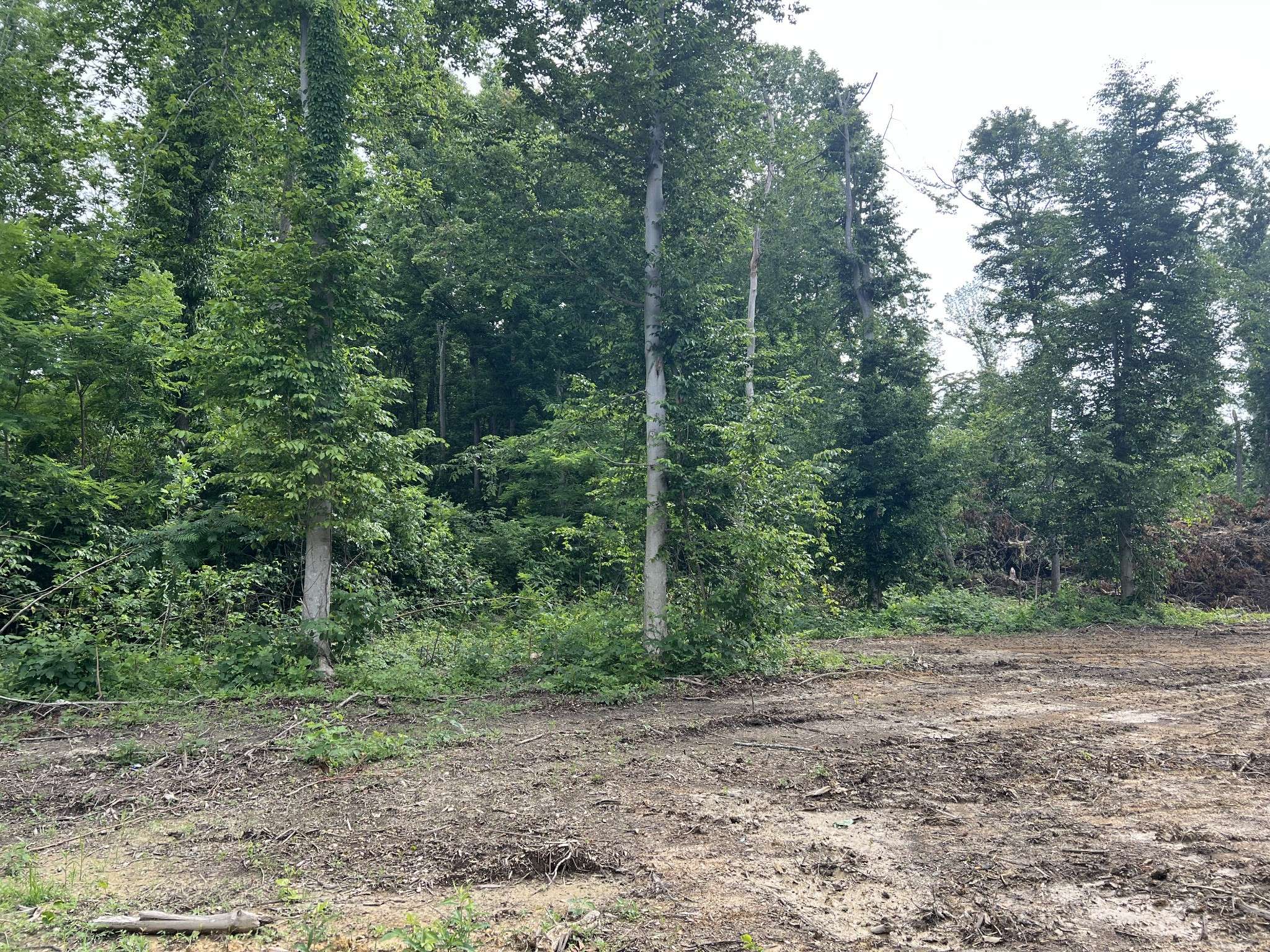 Westmoreland, TN 37186,28 Annie Hollow Rd