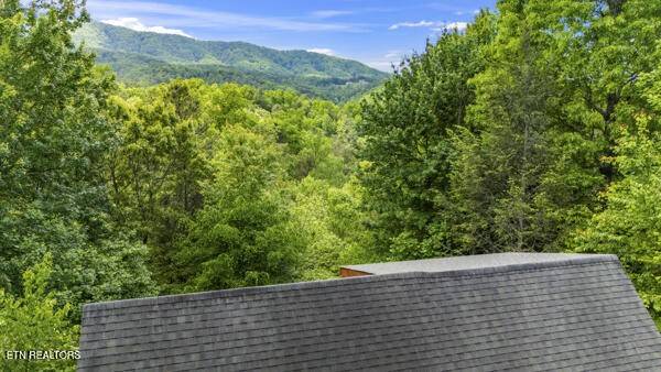Sevierville, TN 37876,4196 Mountain Rest Way