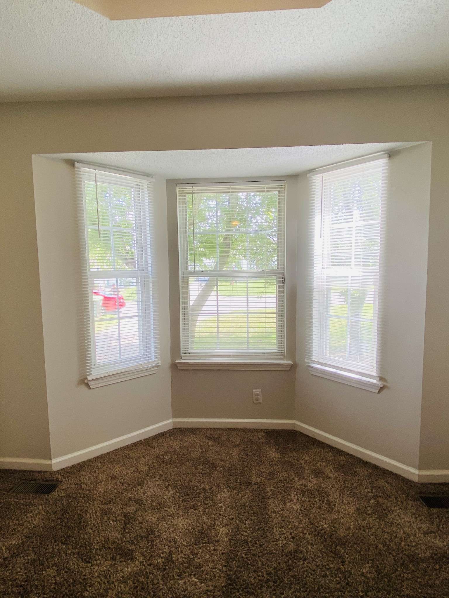 Oak Grove, KY 42262,321 Atlantic Ave