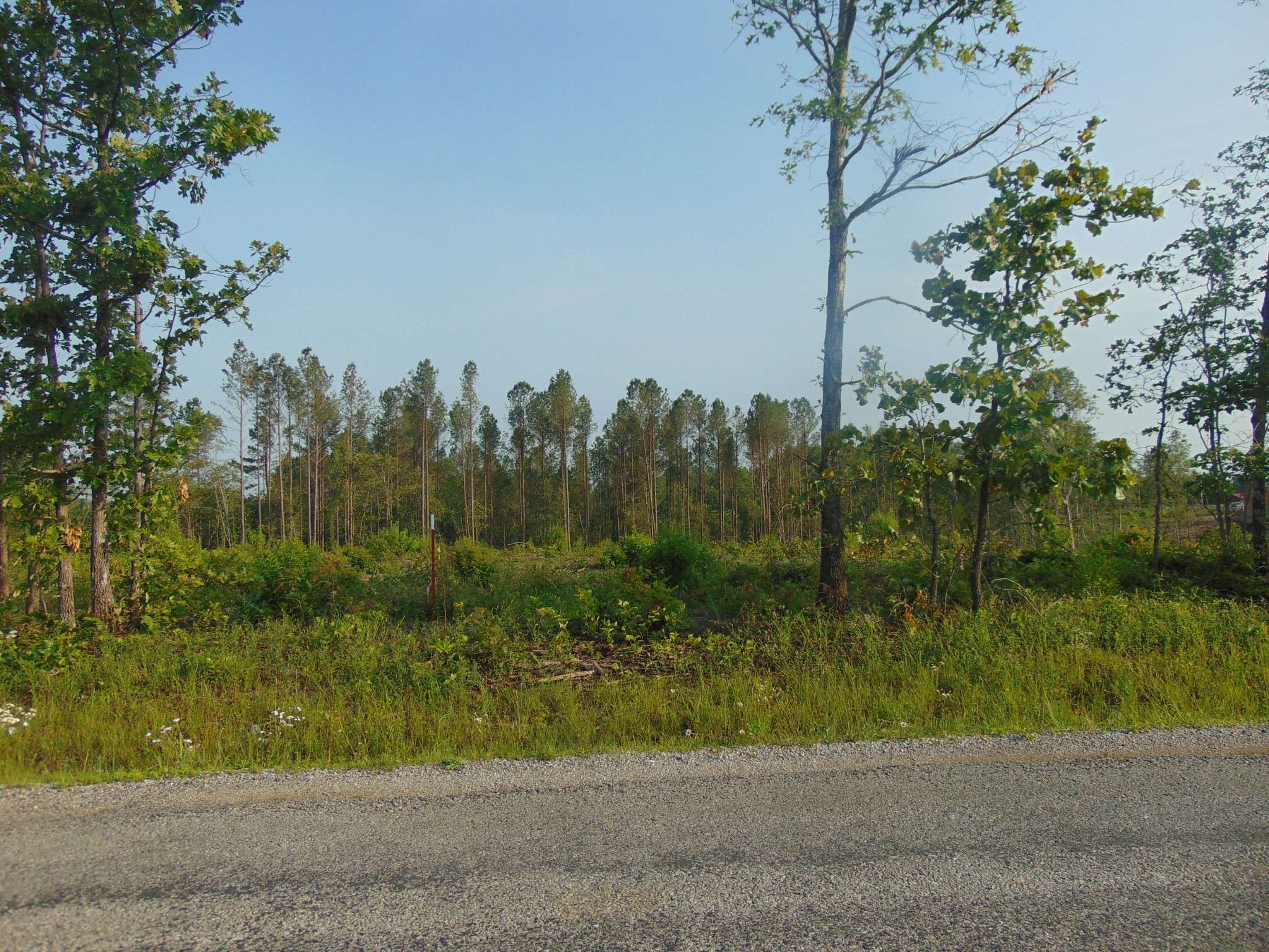 Summertown, TN 38483,184 Barnesville Rd
