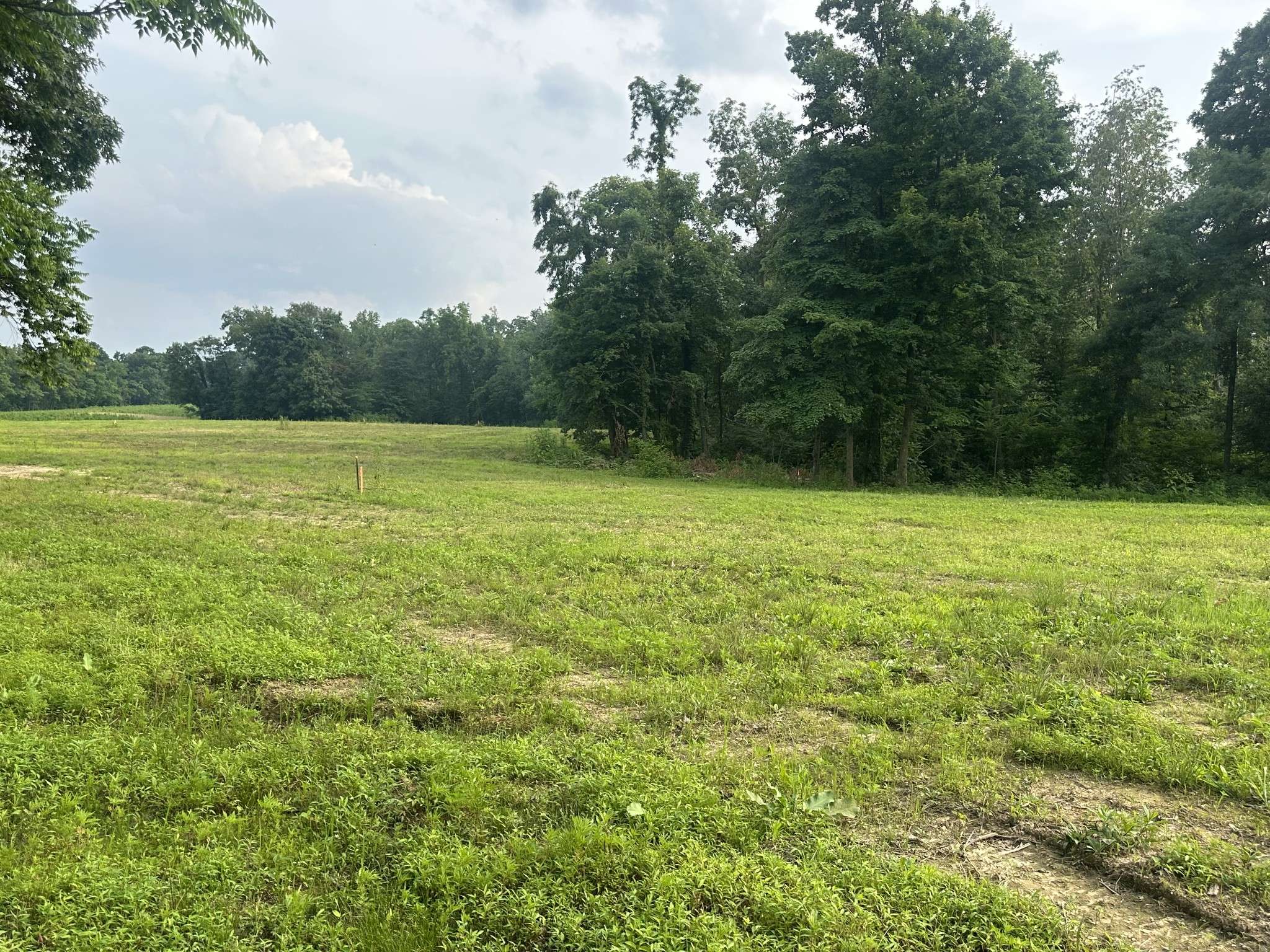 Westmoreland, TN 37186,0 Annie Hollow Rd