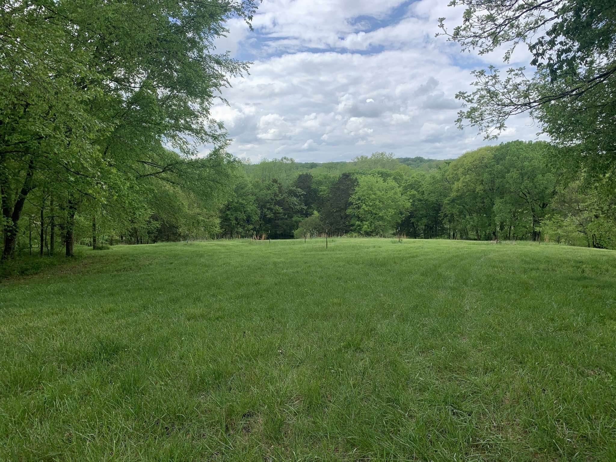 College Grove, TN 37046,6816 Drumright Hills Ln