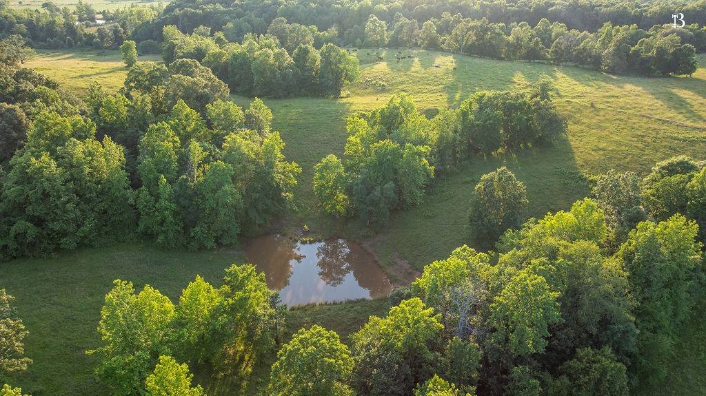 Nortonville, KY 42442,400 McIntosh Chapel Rd