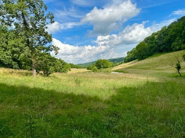 Mount Pleasant, TN 38474,2244 Baptist Branch Rd