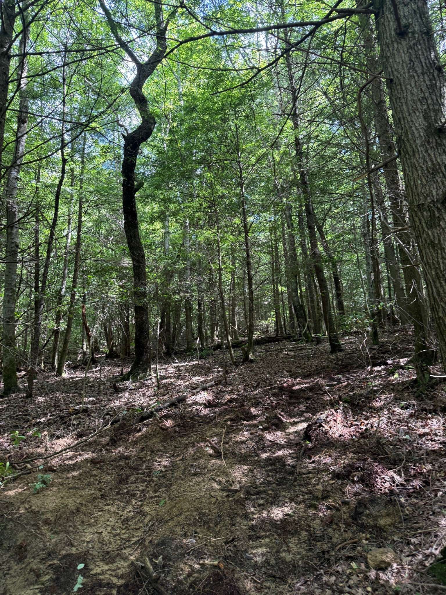 Jamestown, TN 38556,0 Acorn Ln