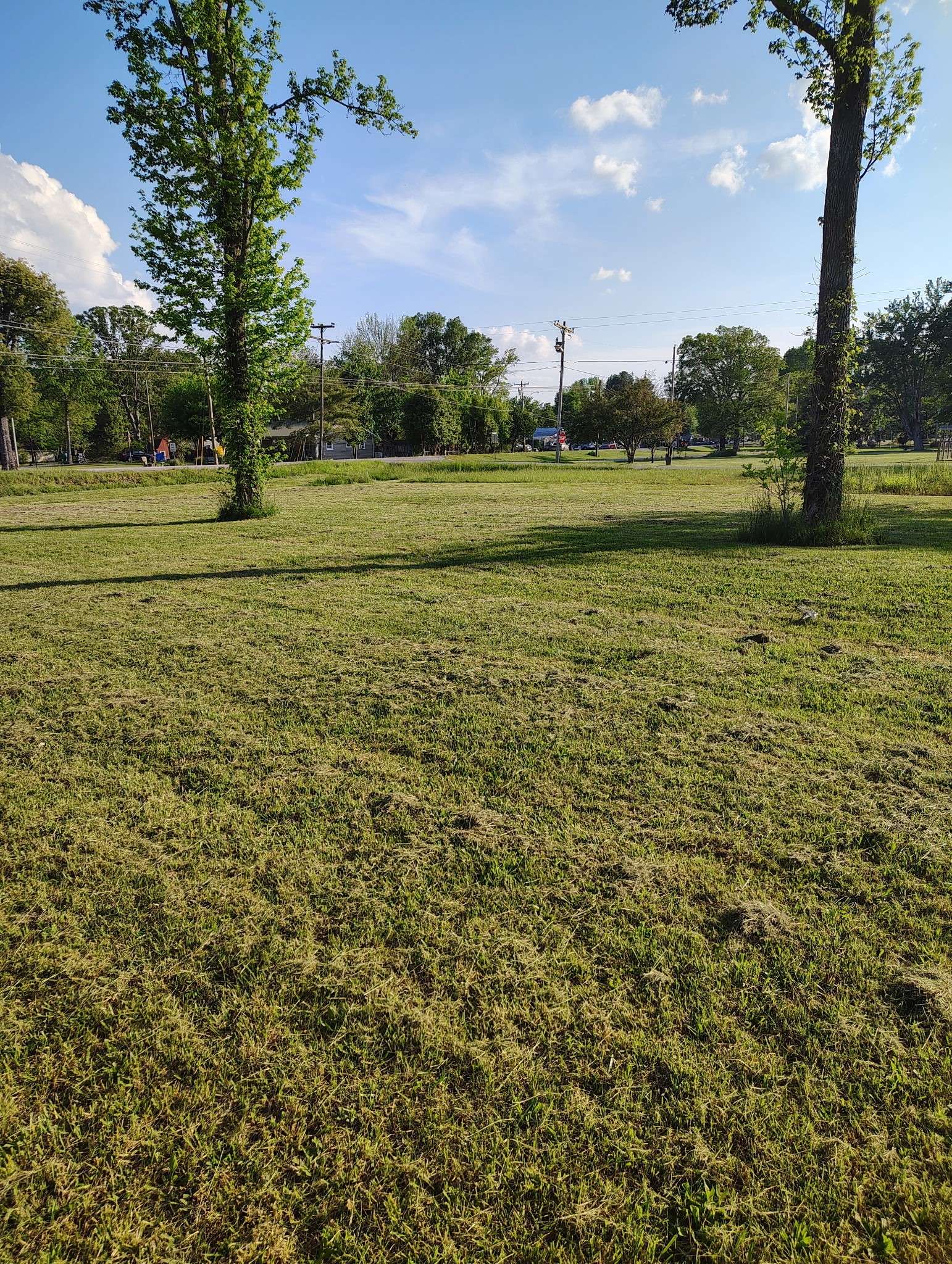 Morrison, TN 37357,341 Maple St #W