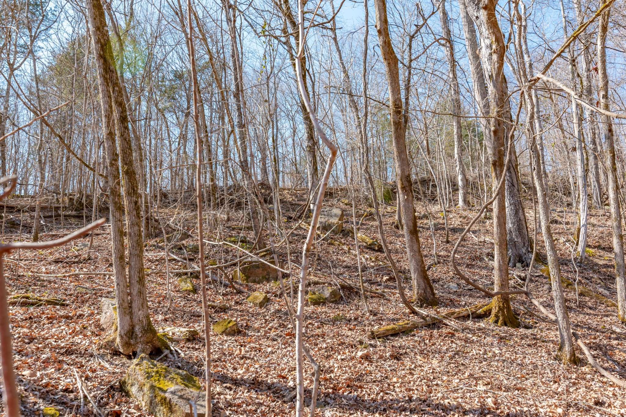 Linden, TN 37096,1627 Hurricane Creek