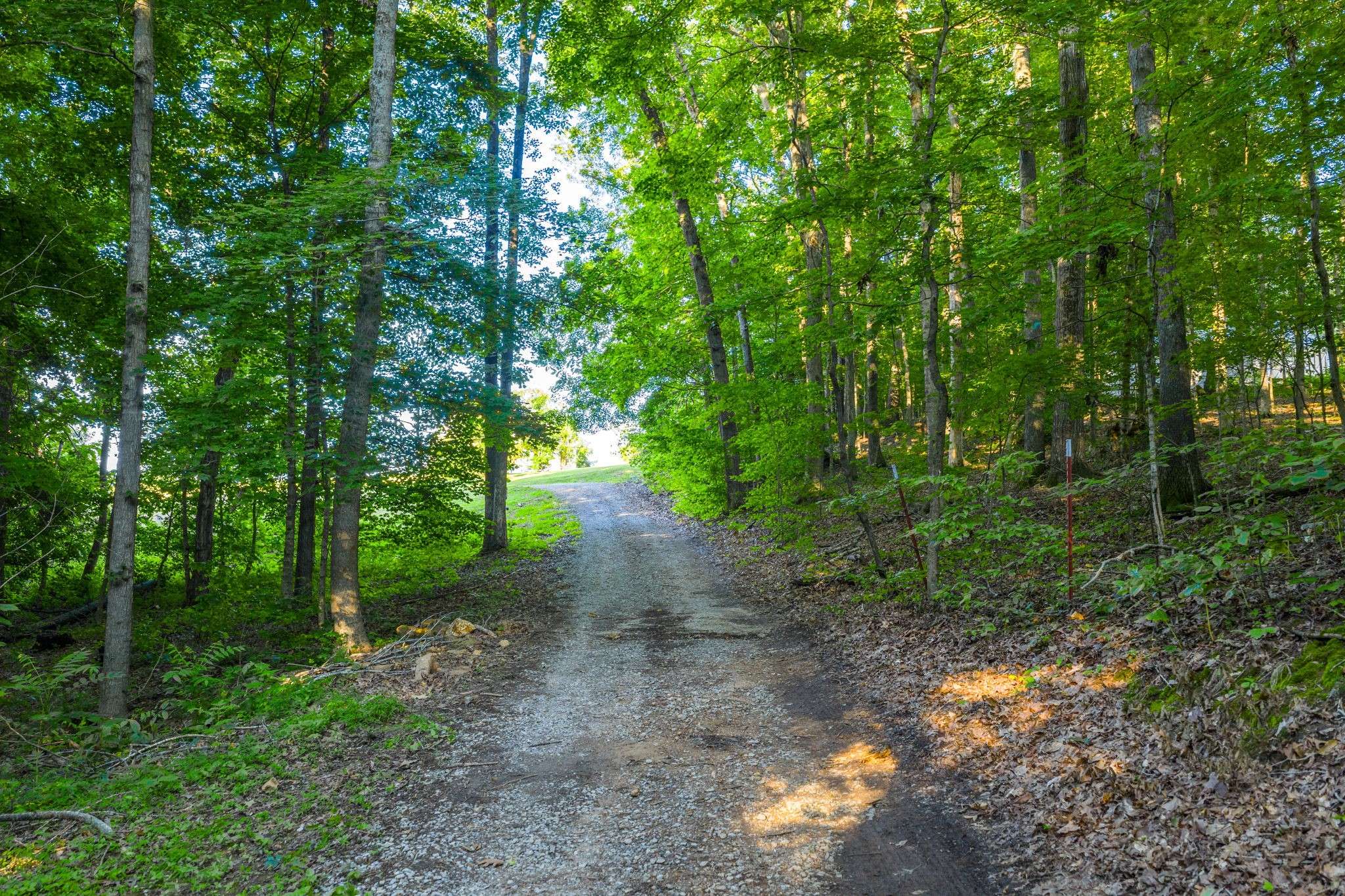 Woodlawn, TN 37191,3275 York Landing Road